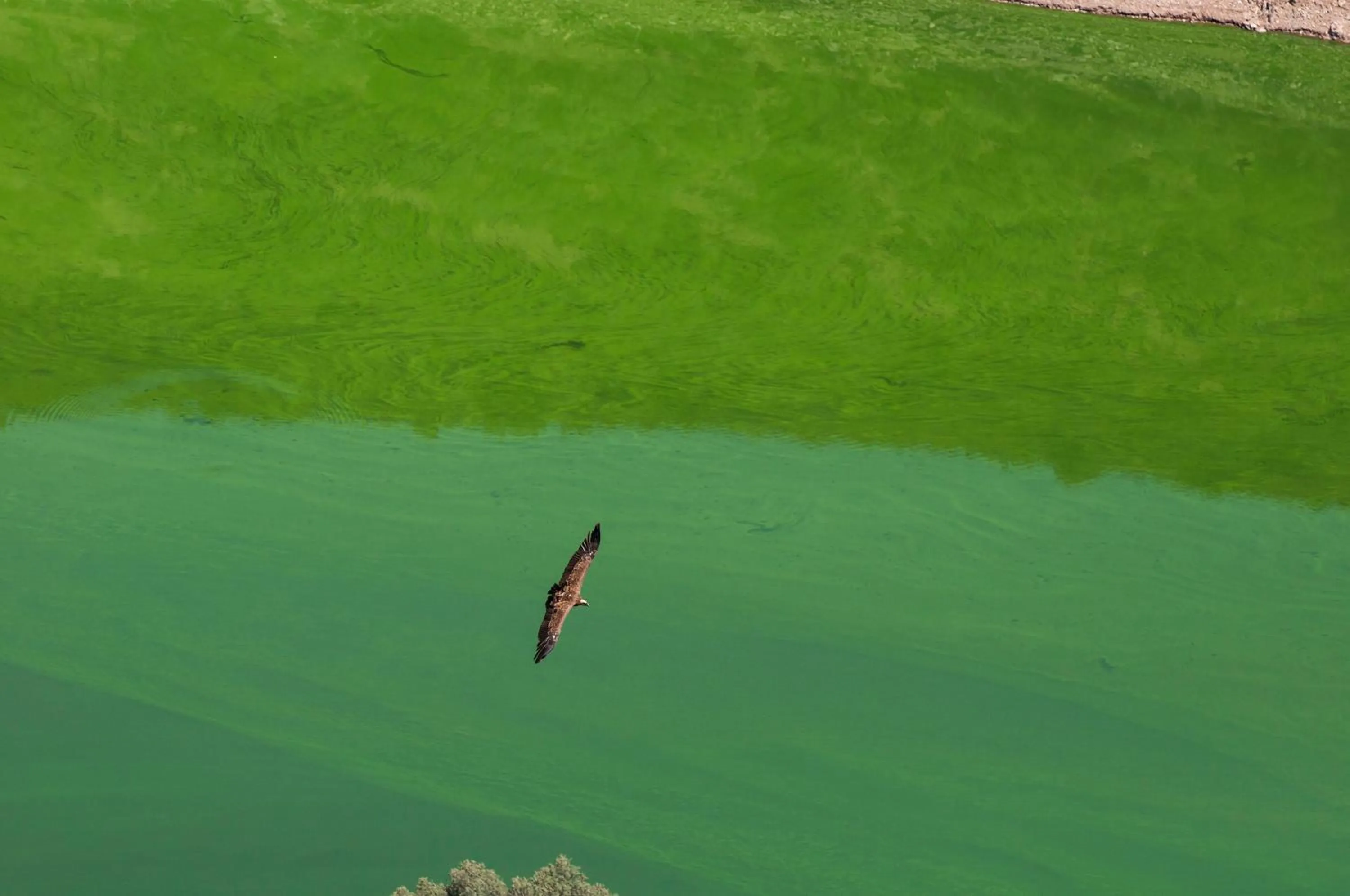 Other in Hotel Parque de Monfragüe