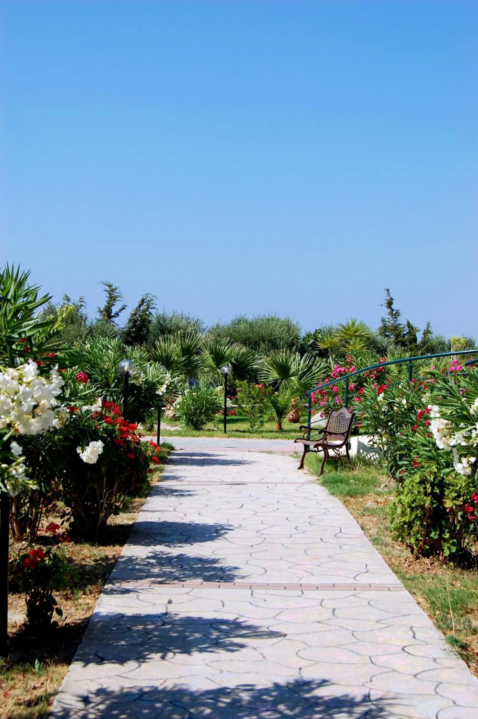 Garden in Evripides Village