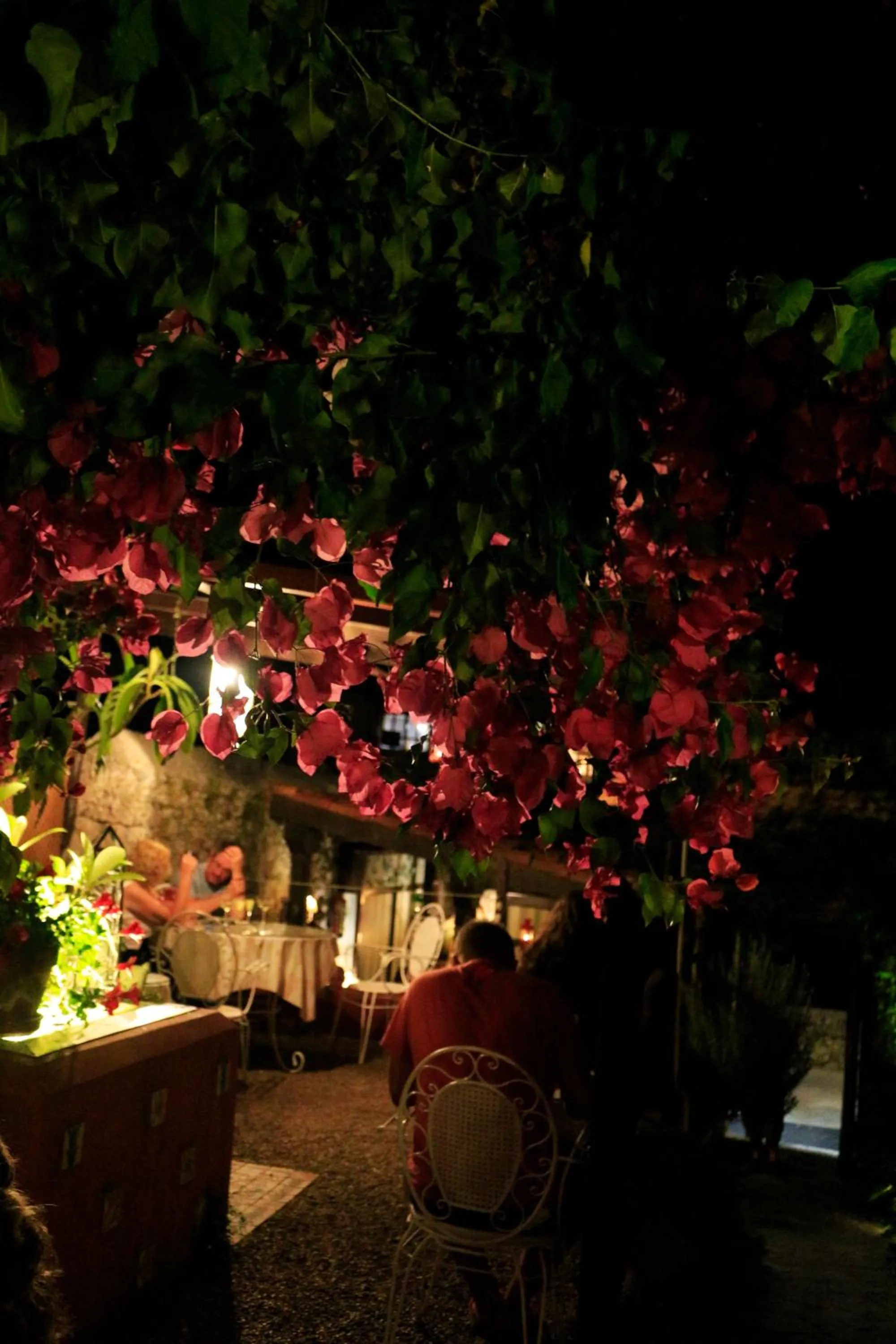 Night in Mar Del Sueve