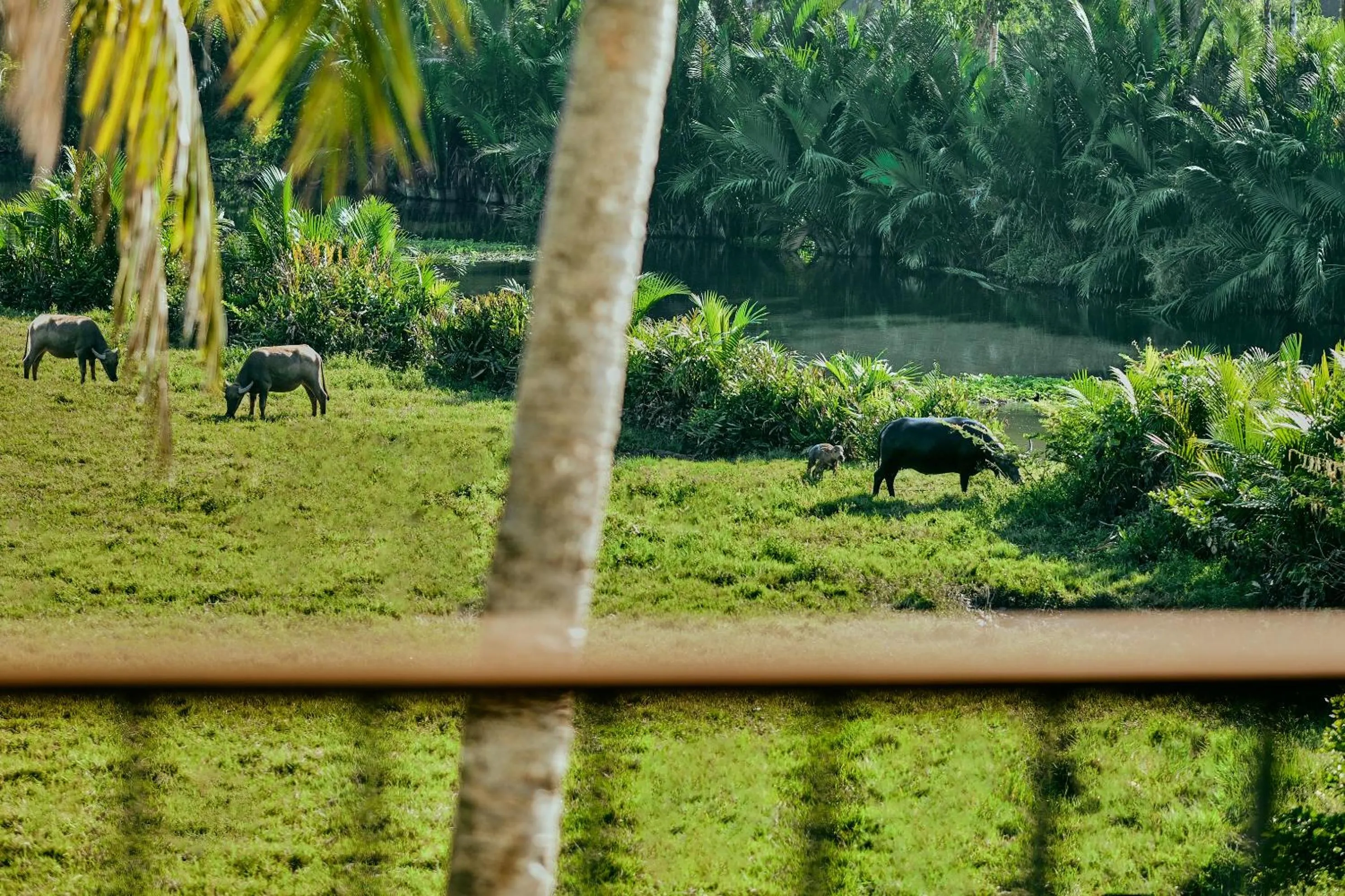 Other in Little Oasis - An Eco Friendly Hotel & Spa