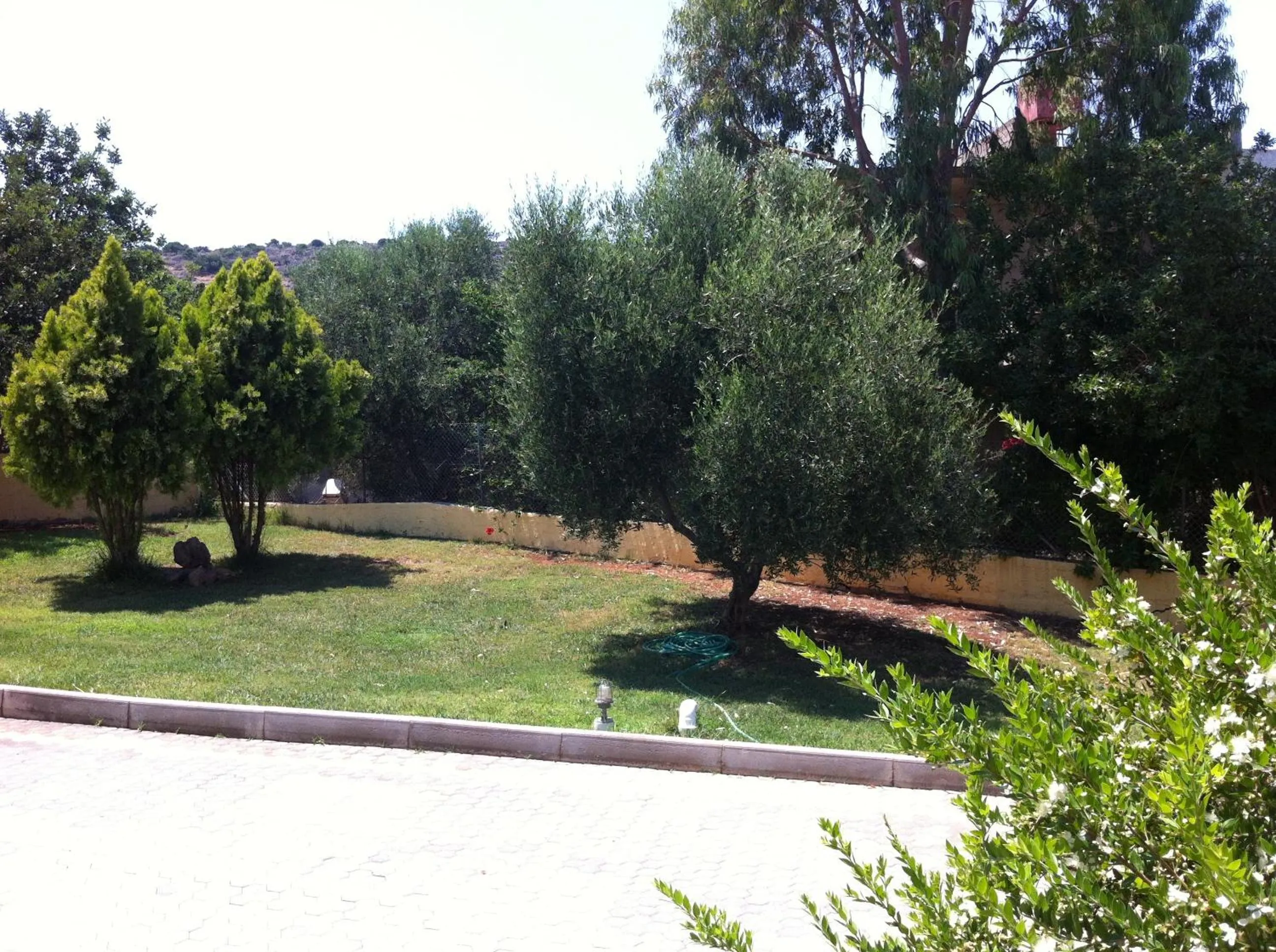 Garden in Angelika Apartotel