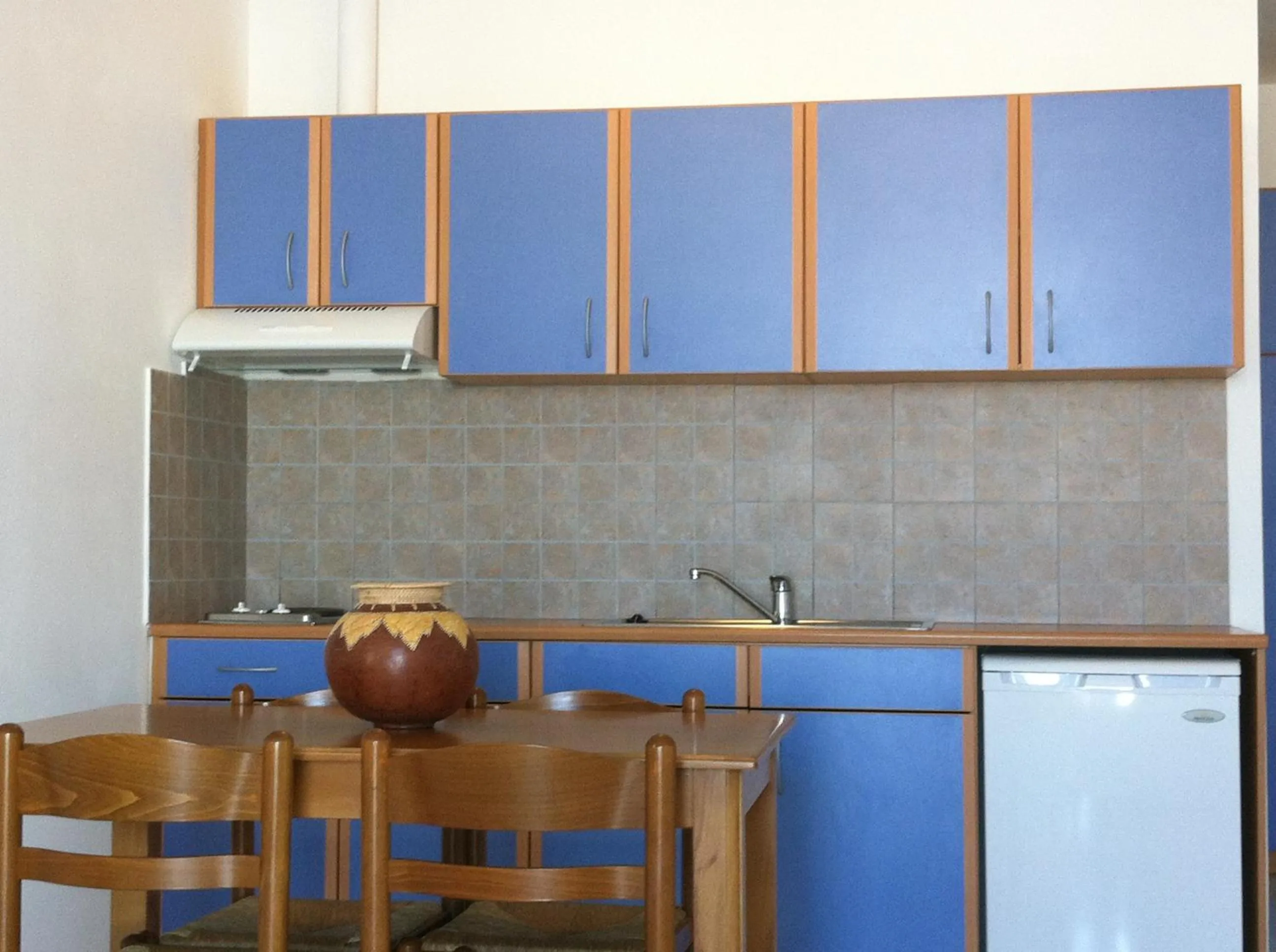 Kitchen or kitchenette in Angelika Apartotel