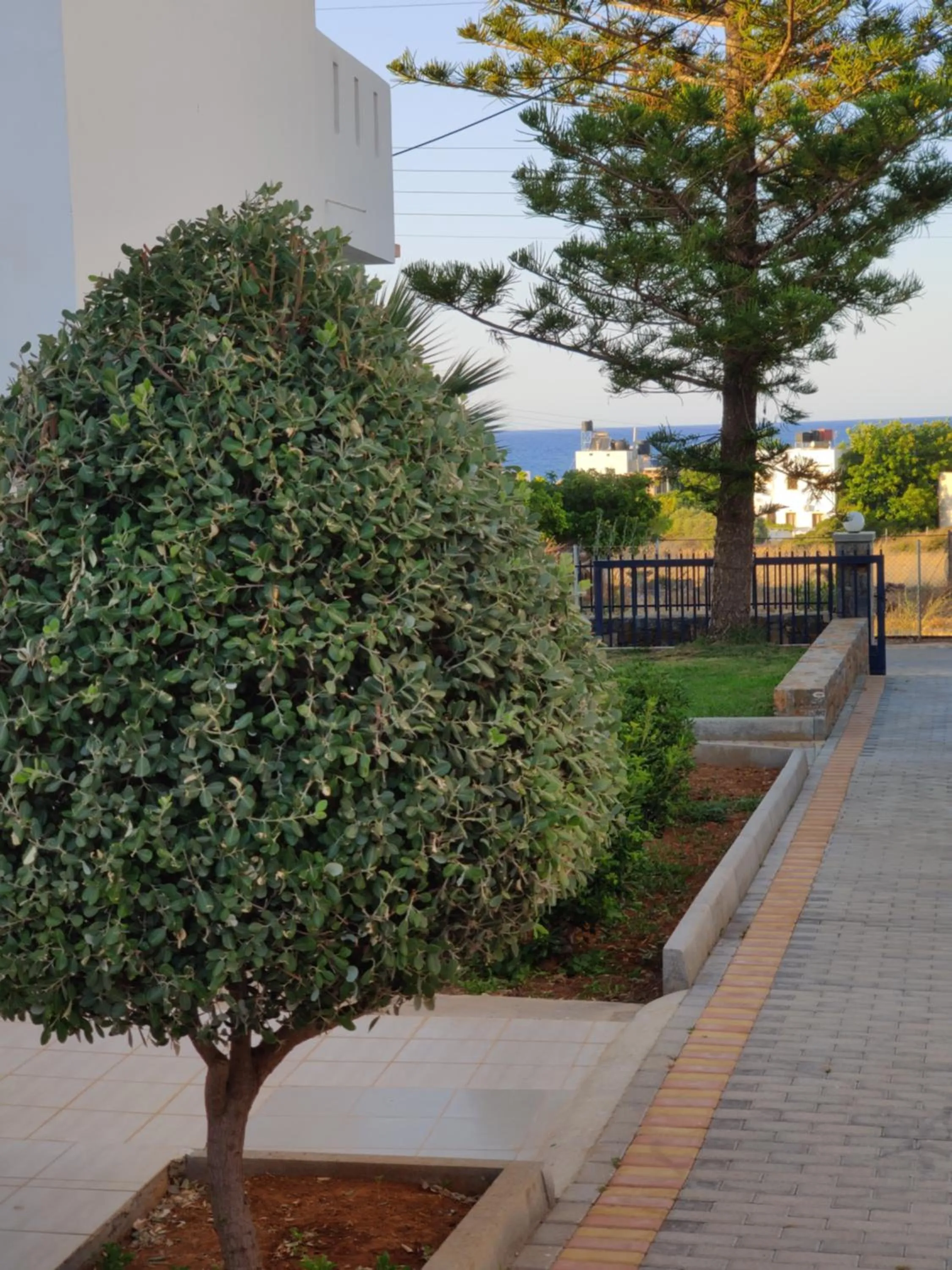 Facade/entrance in Angelika Apartotel