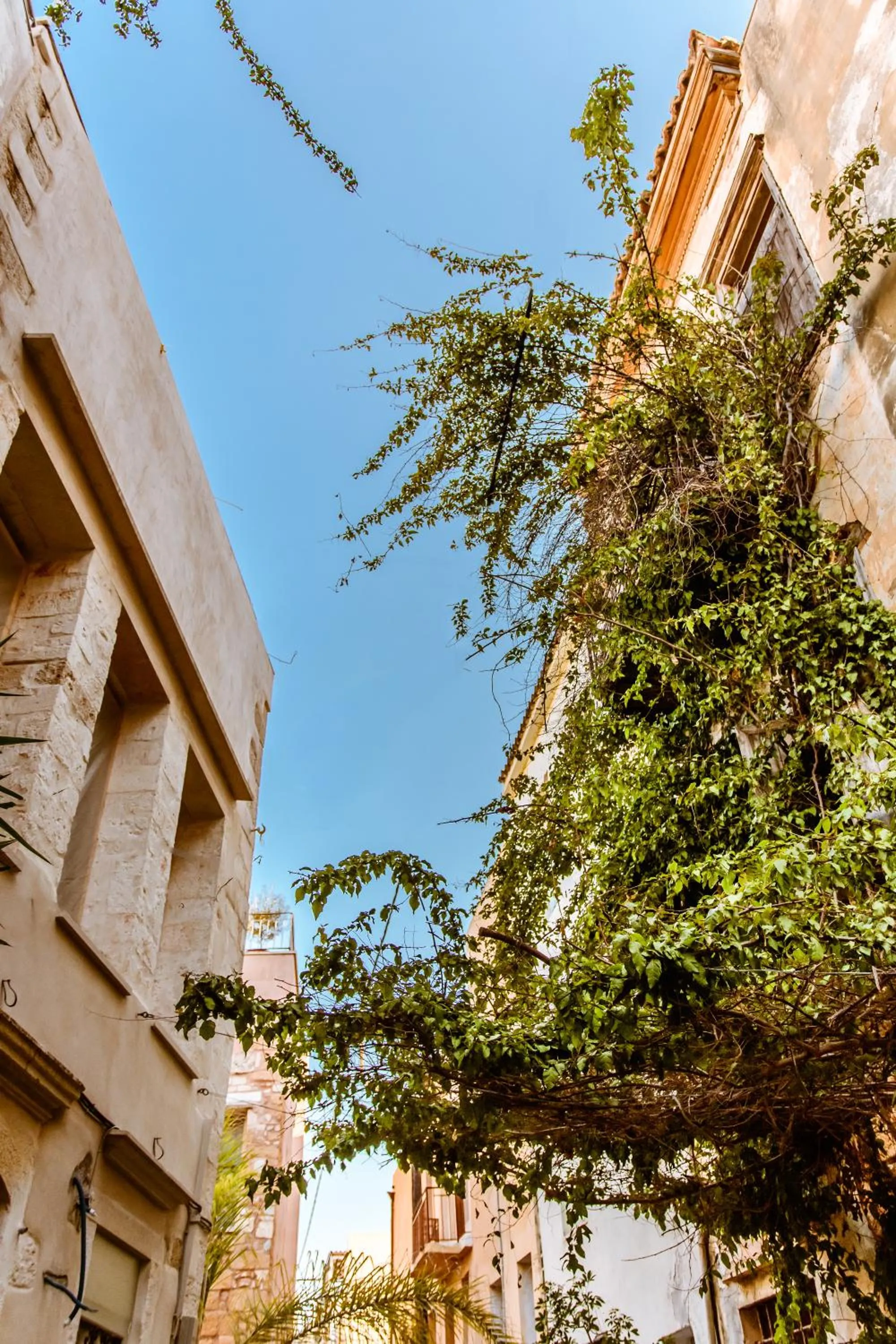 Neighbourhood in Bozzali Deluxe Hotel