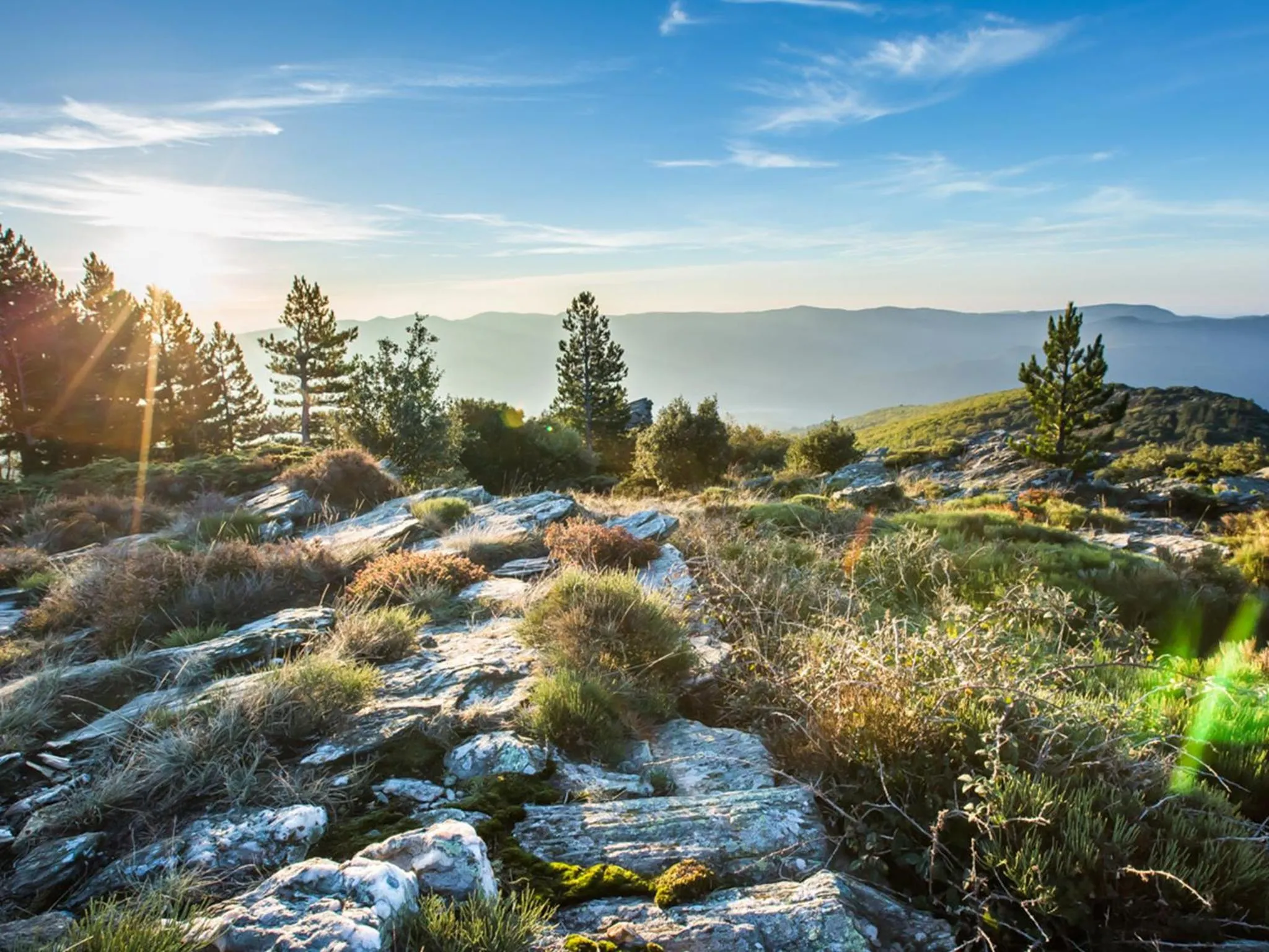 Neighbourhood in Mas Julia