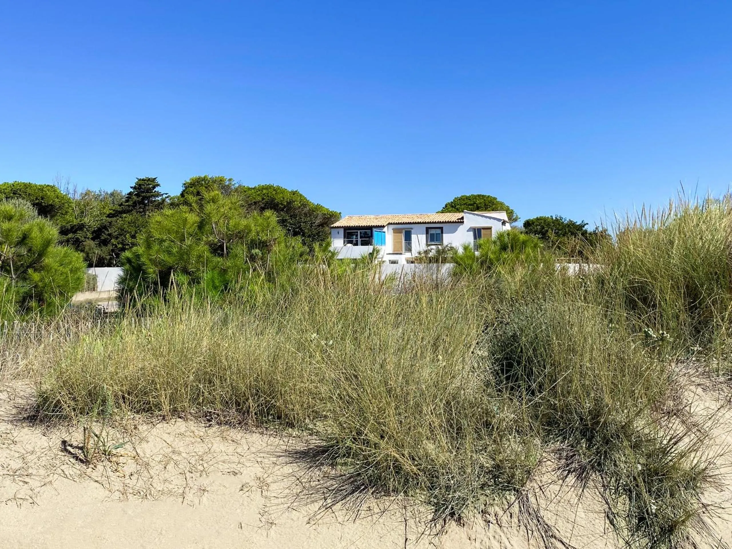 View (from property/room) in Mas Julia