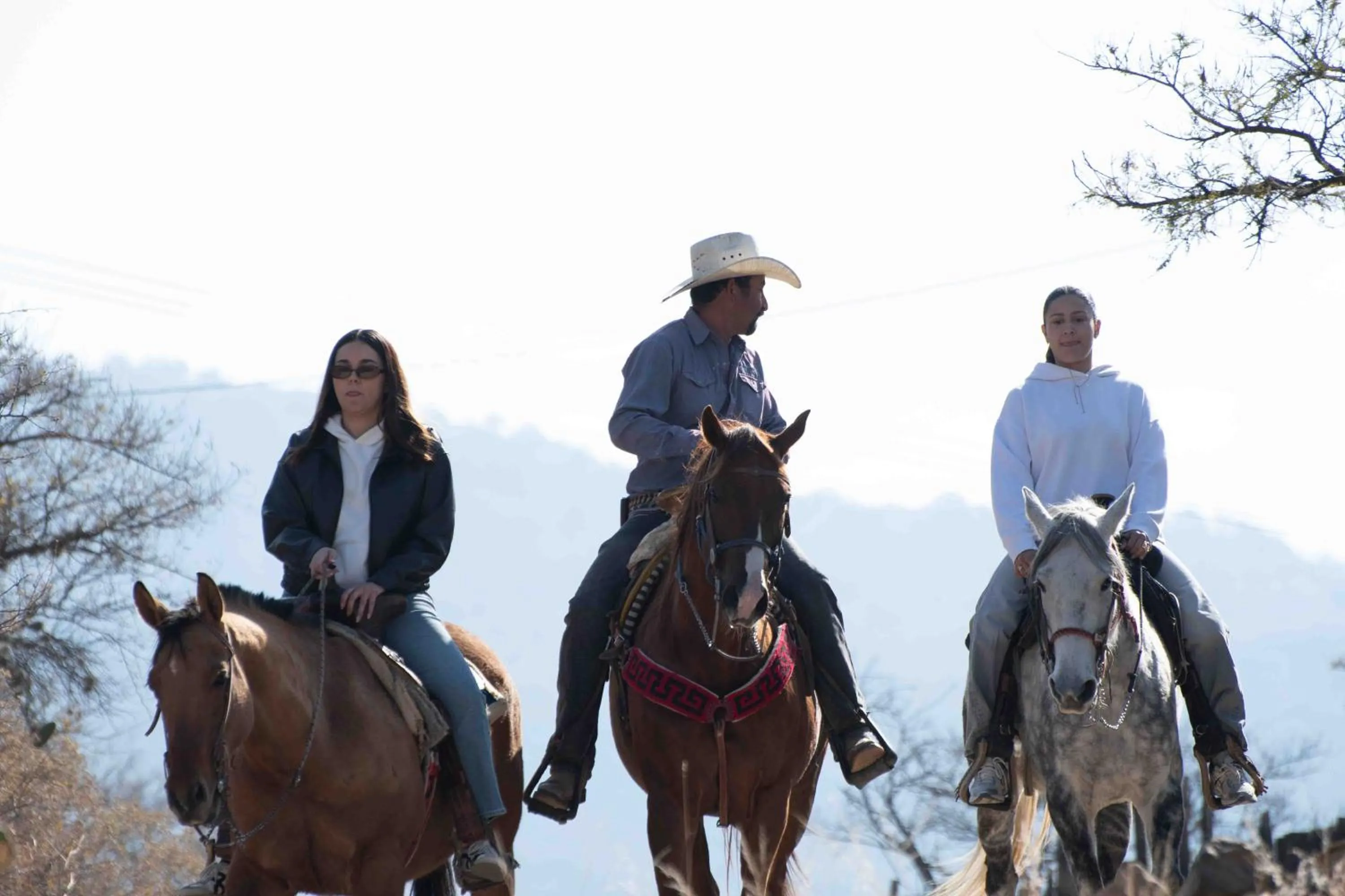 Echological Hotel, Restaurante & Spa