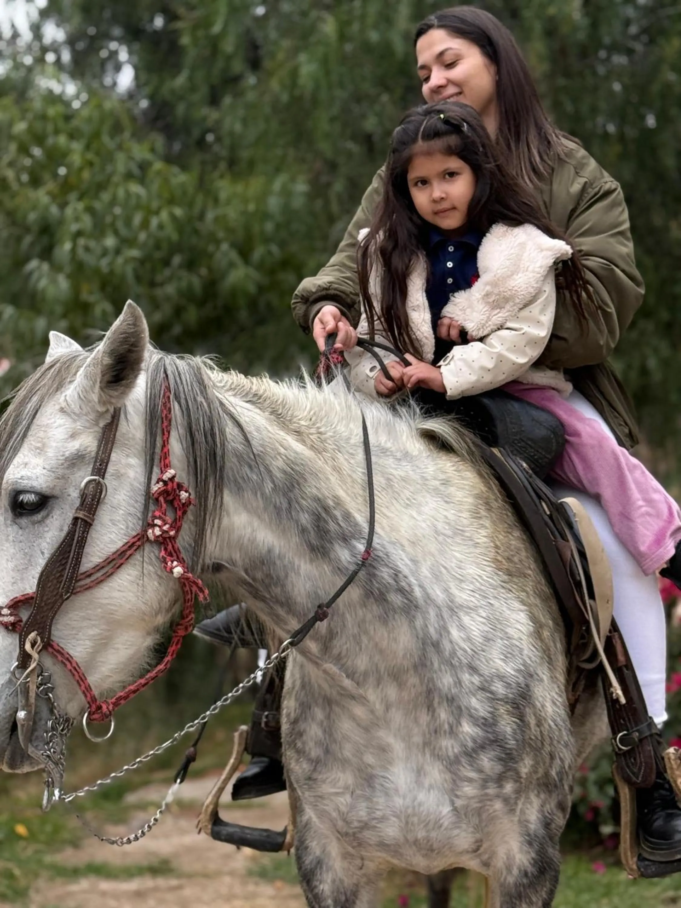 Echological Hotel, Restaurante & Spa