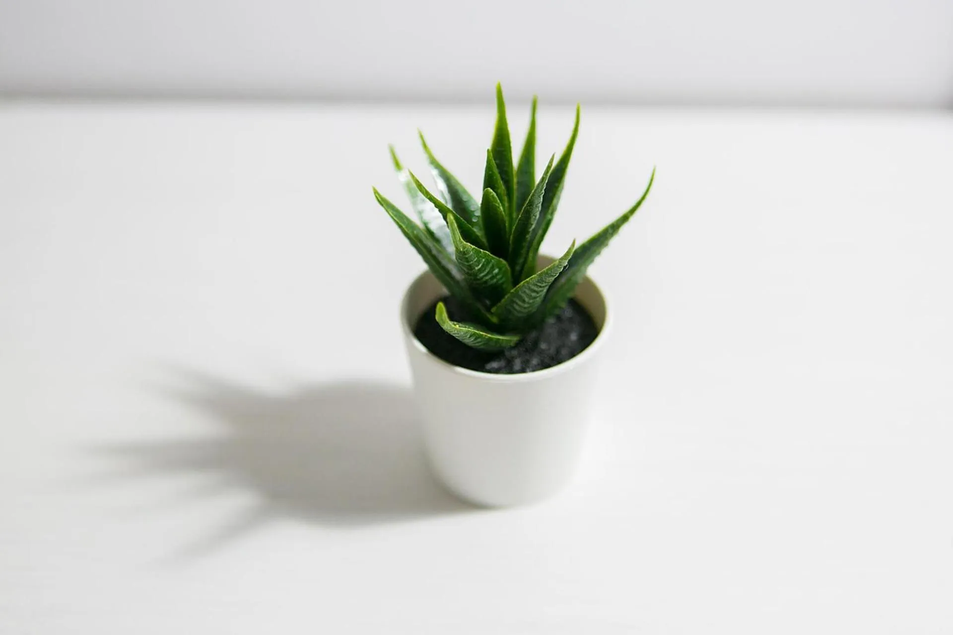 Decorative detail in Blanc Guest House