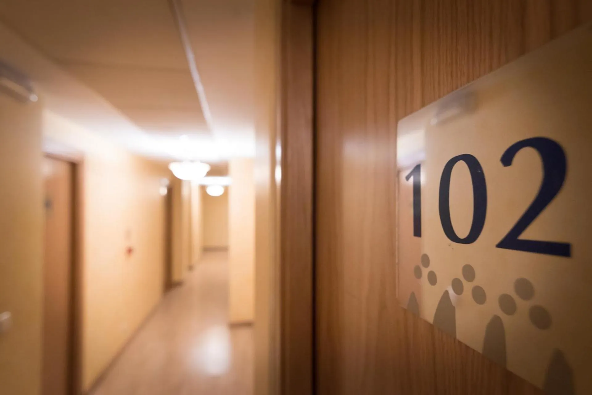 Abadía Burgos Camino Santiago