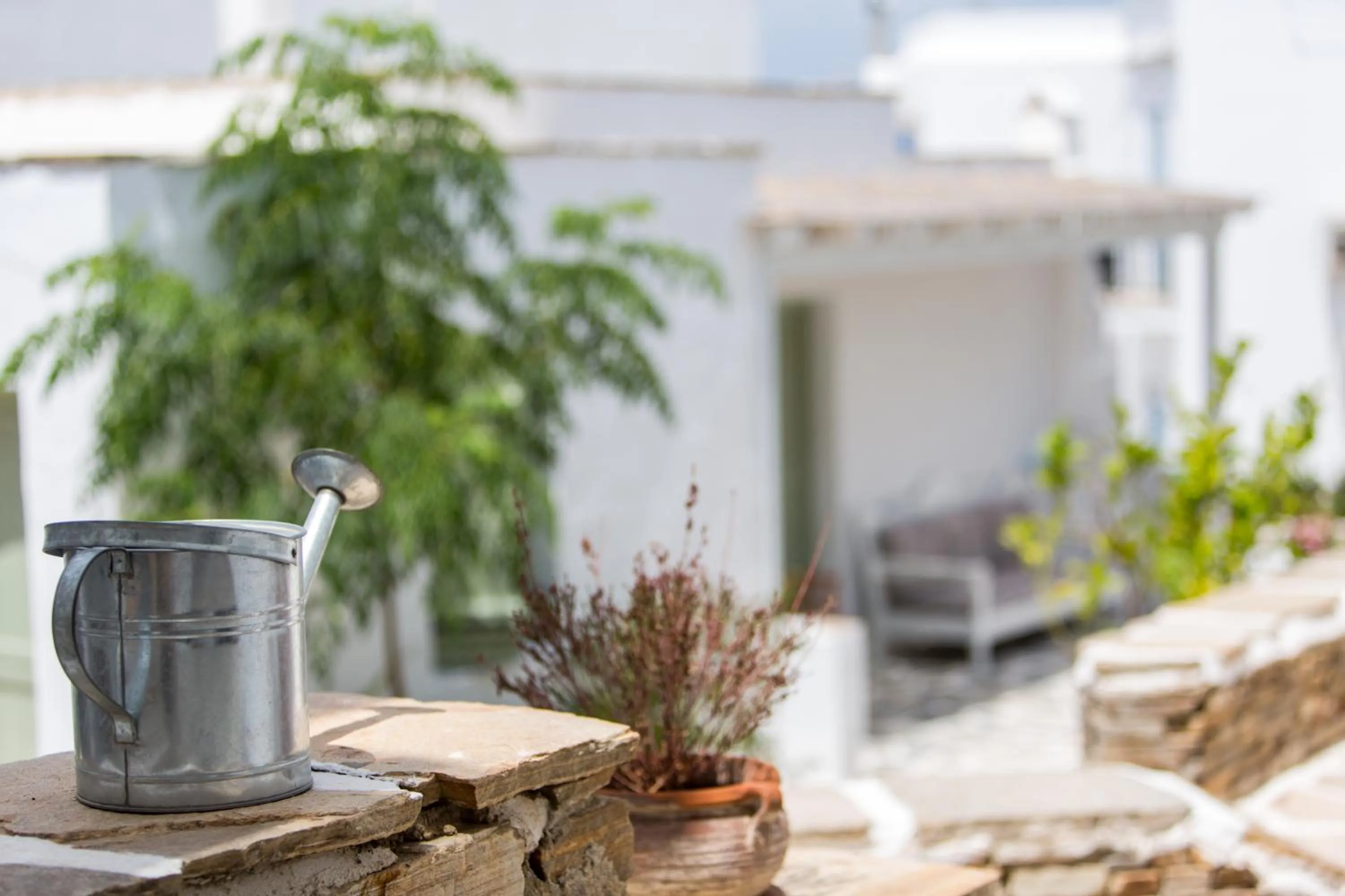 Garden in Nastasia Village