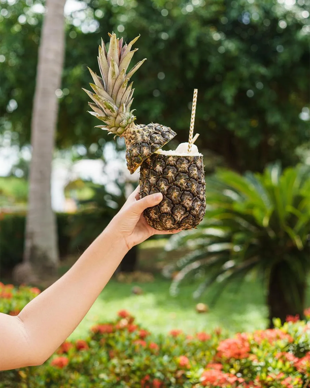 Drinks in Blue Tree Premium São Luis