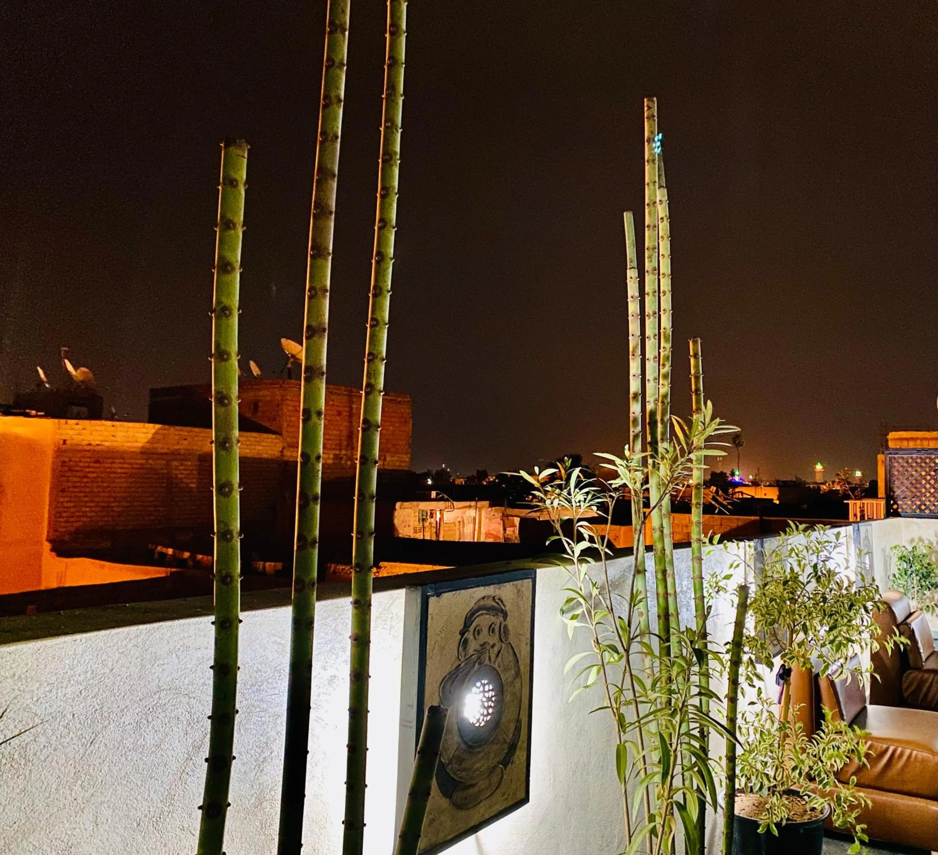 Garden in DAR Riad Jomana