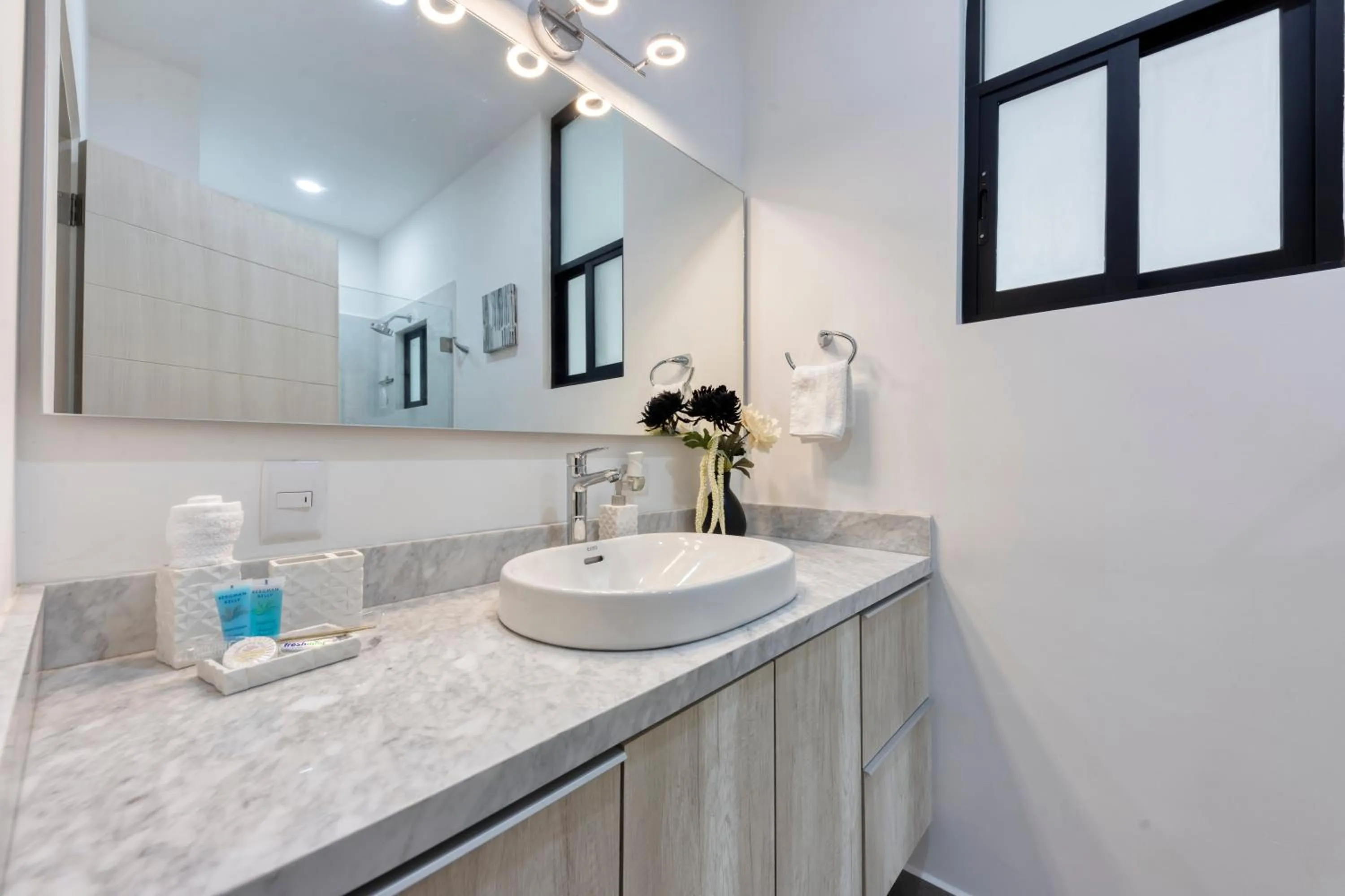 Bathroom in Pedregal Towers