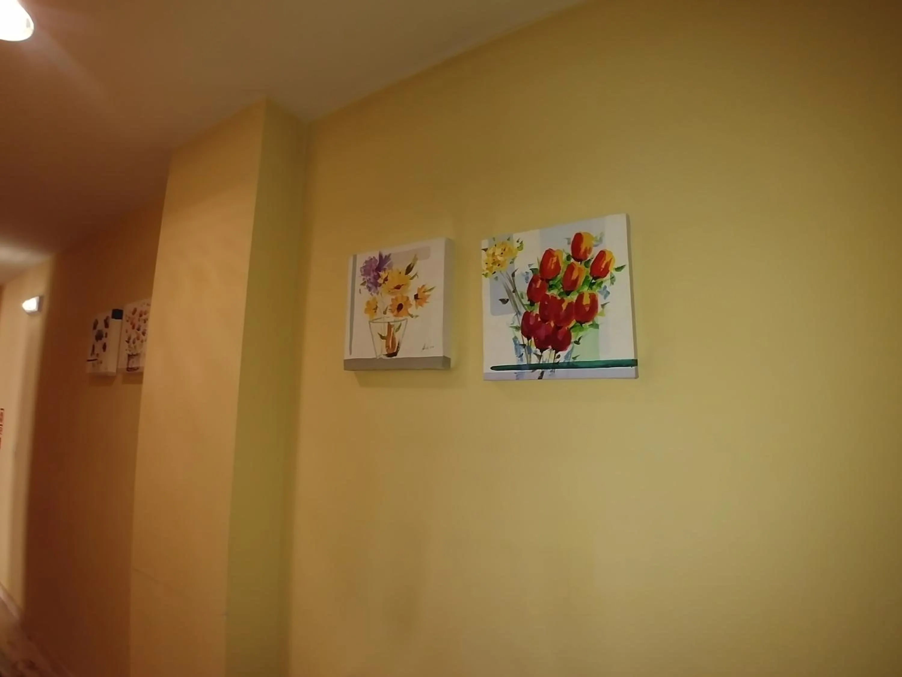 Area and facilities in Hotel las Cruces