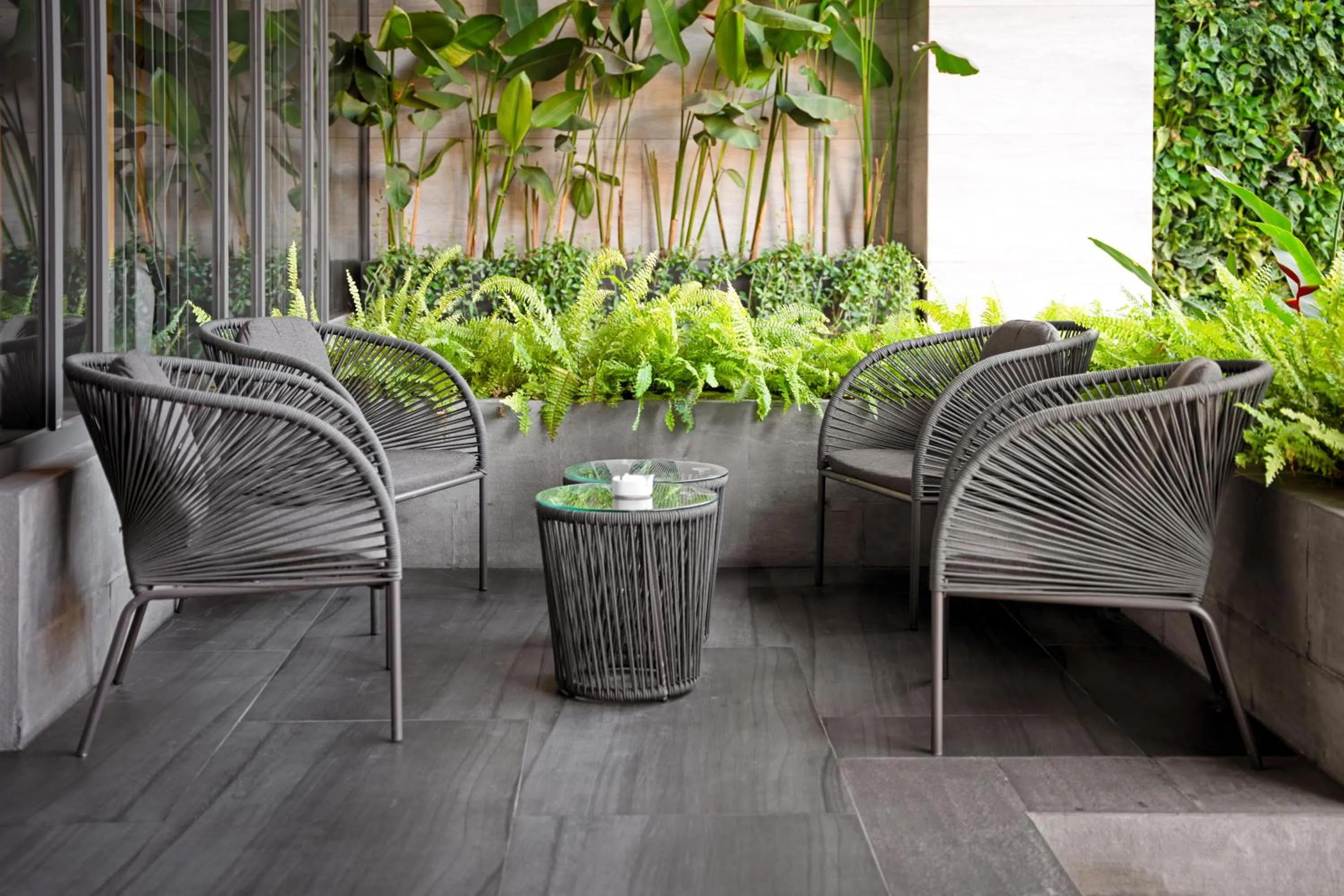 Area and facilities in Estrella Boutique Hotel