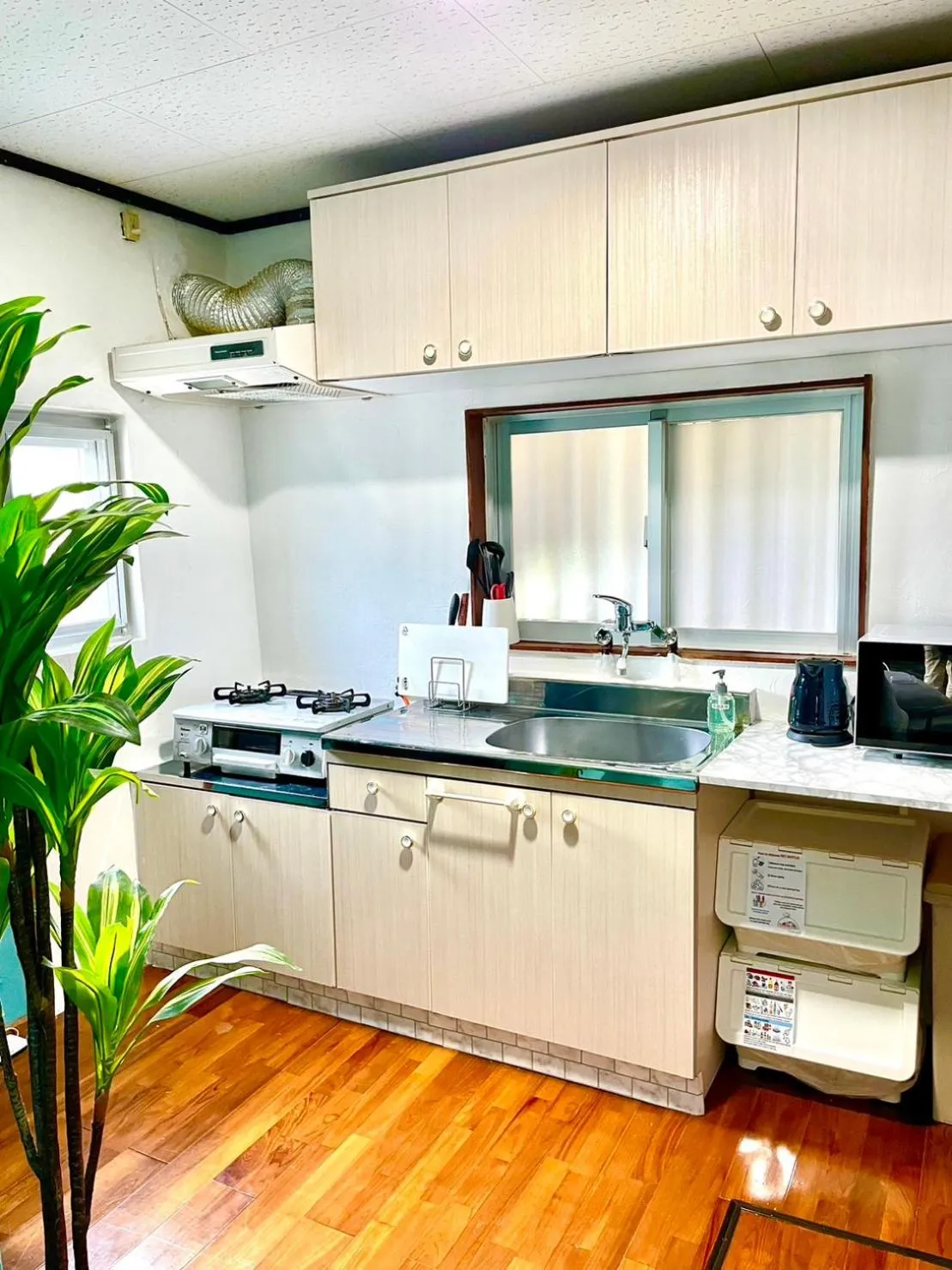 Kitchen or kitchenette in private house noko