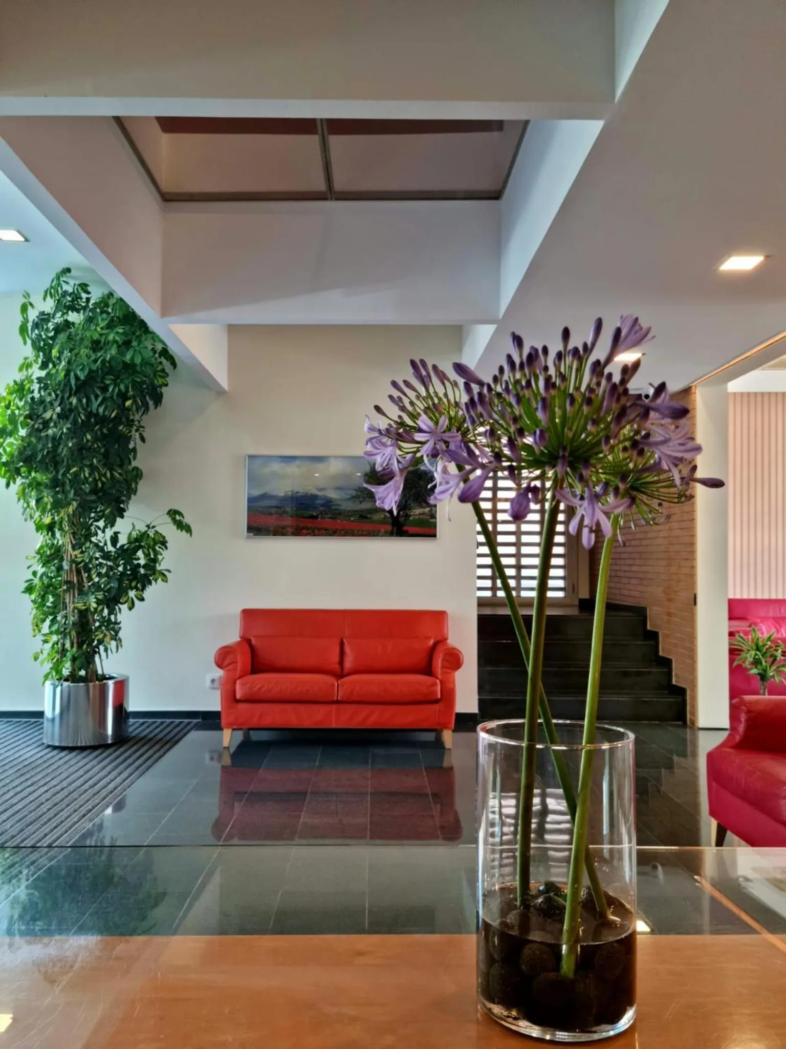 Property building in Apartaments Els Quimics