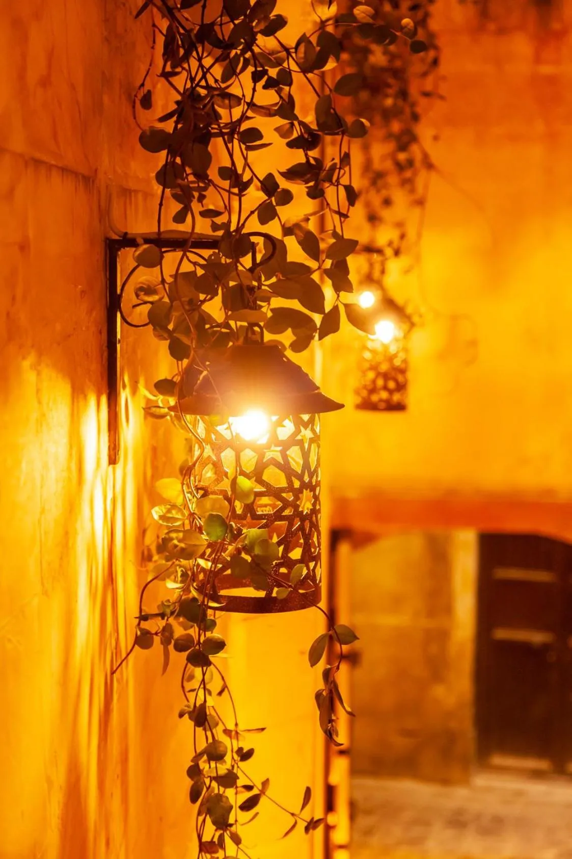 Garden in Reji Boutique Hotel