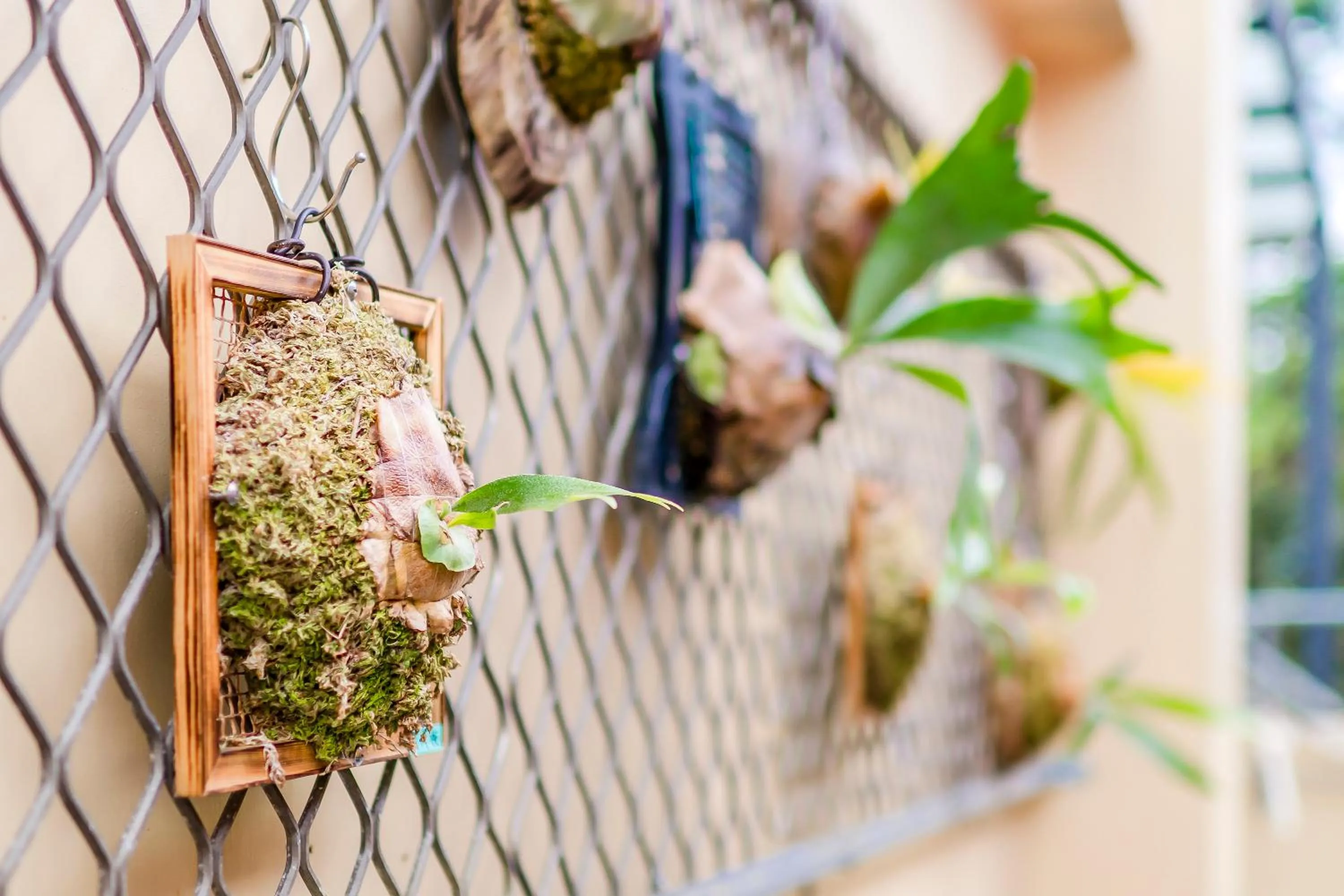 Property building in Shen-Lu-Ju B&B