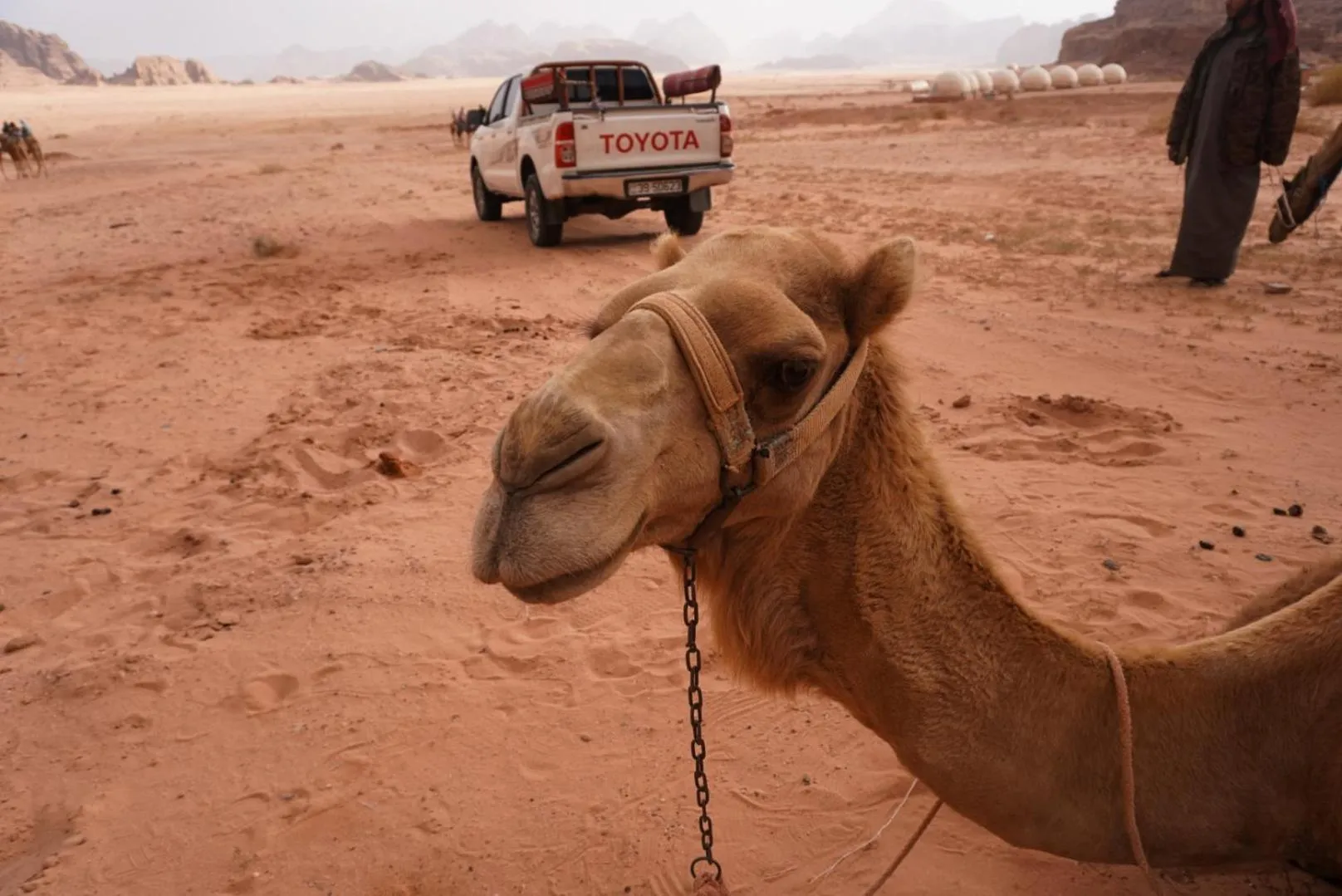 Natural landscape in Shaheen Camp Wadi rum