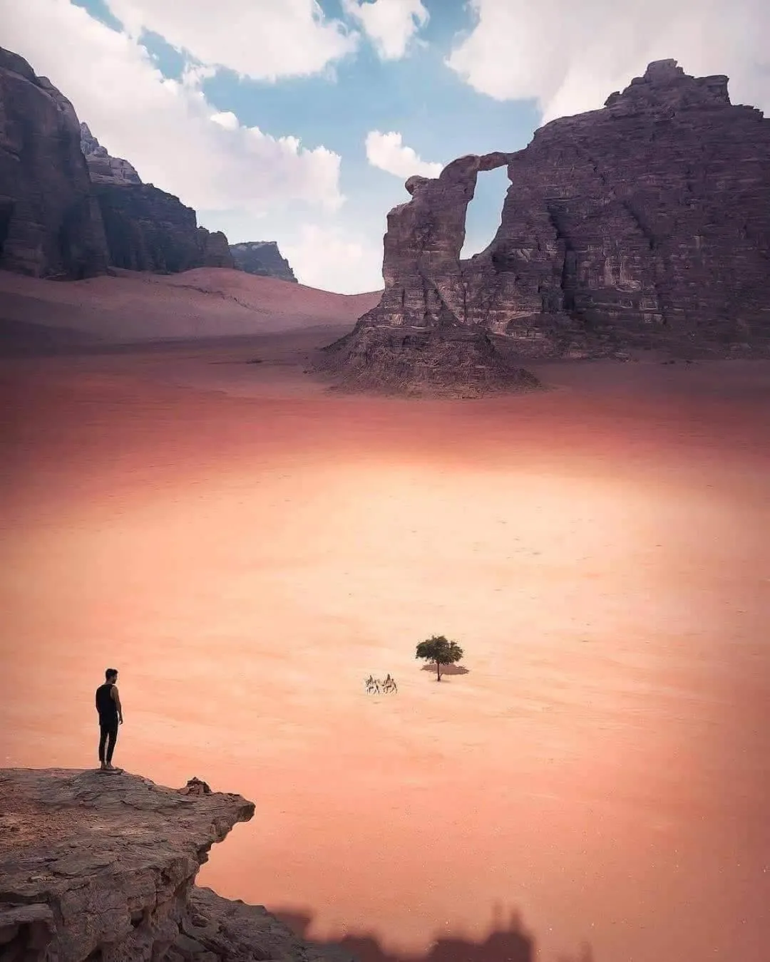 Activities in Shaheen Camp Wadi rum