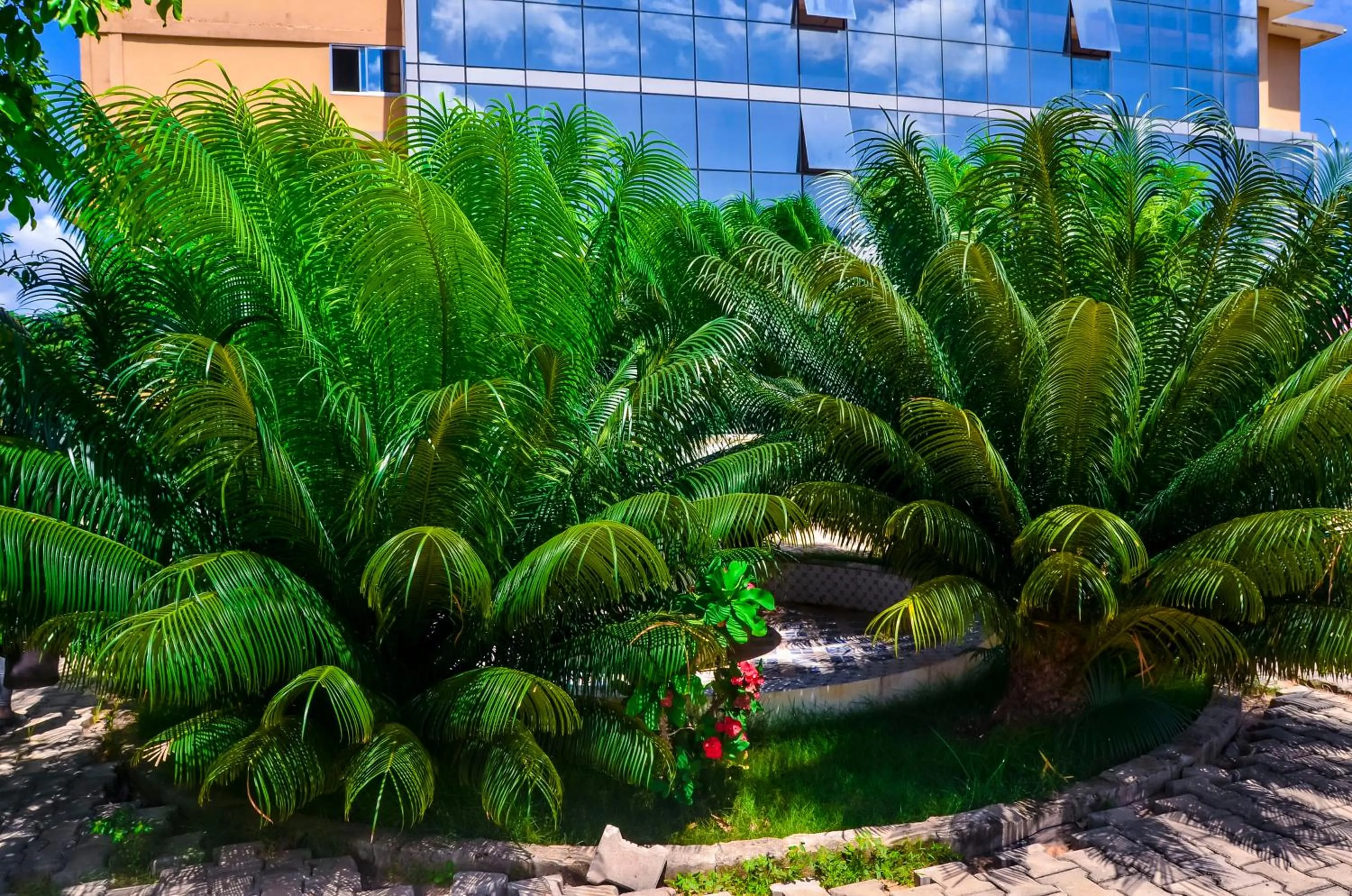 Property building in Muhako Hotel