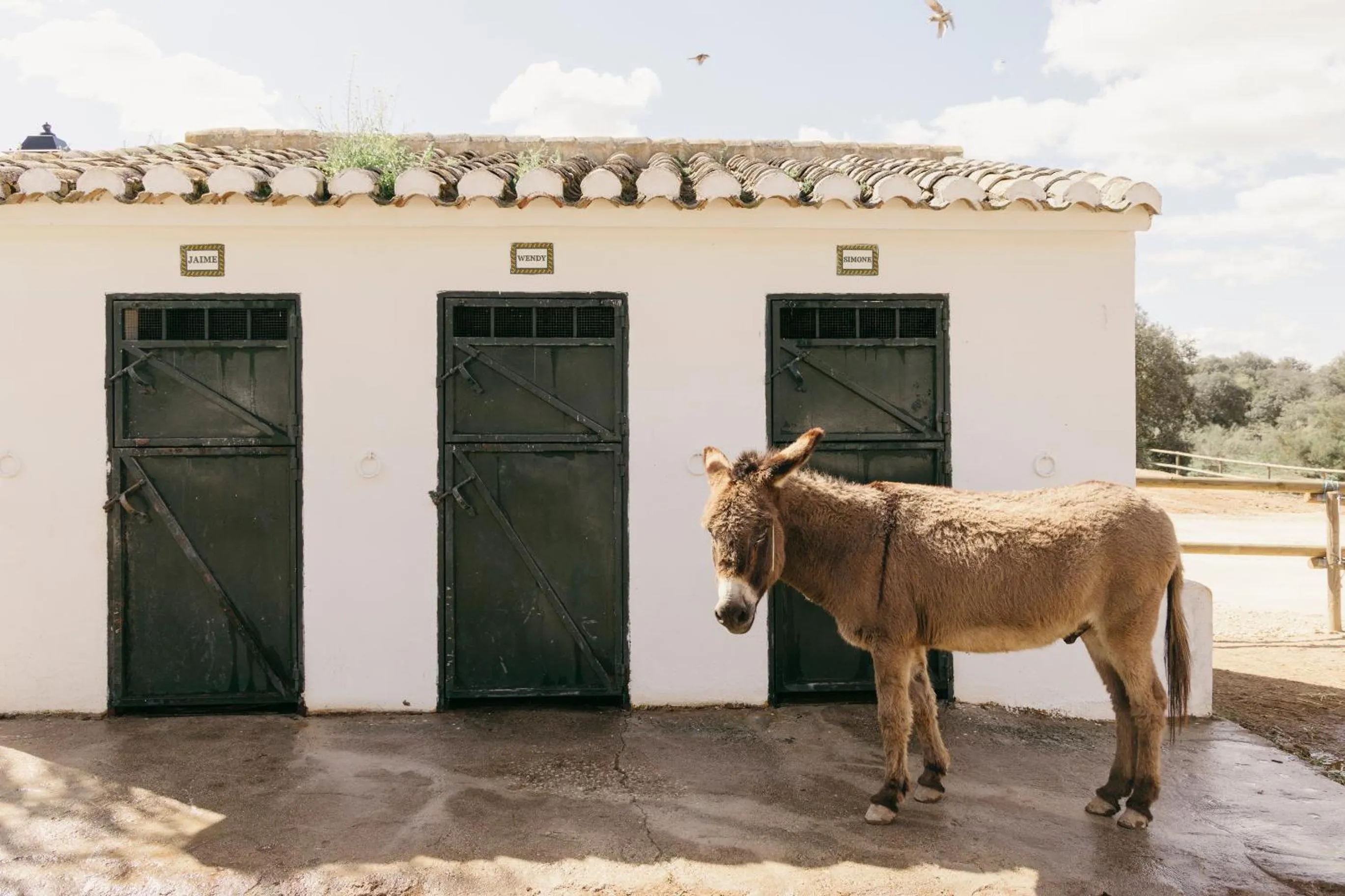 Day in Finca La Bobadilla - The Leading Hotels of the World
