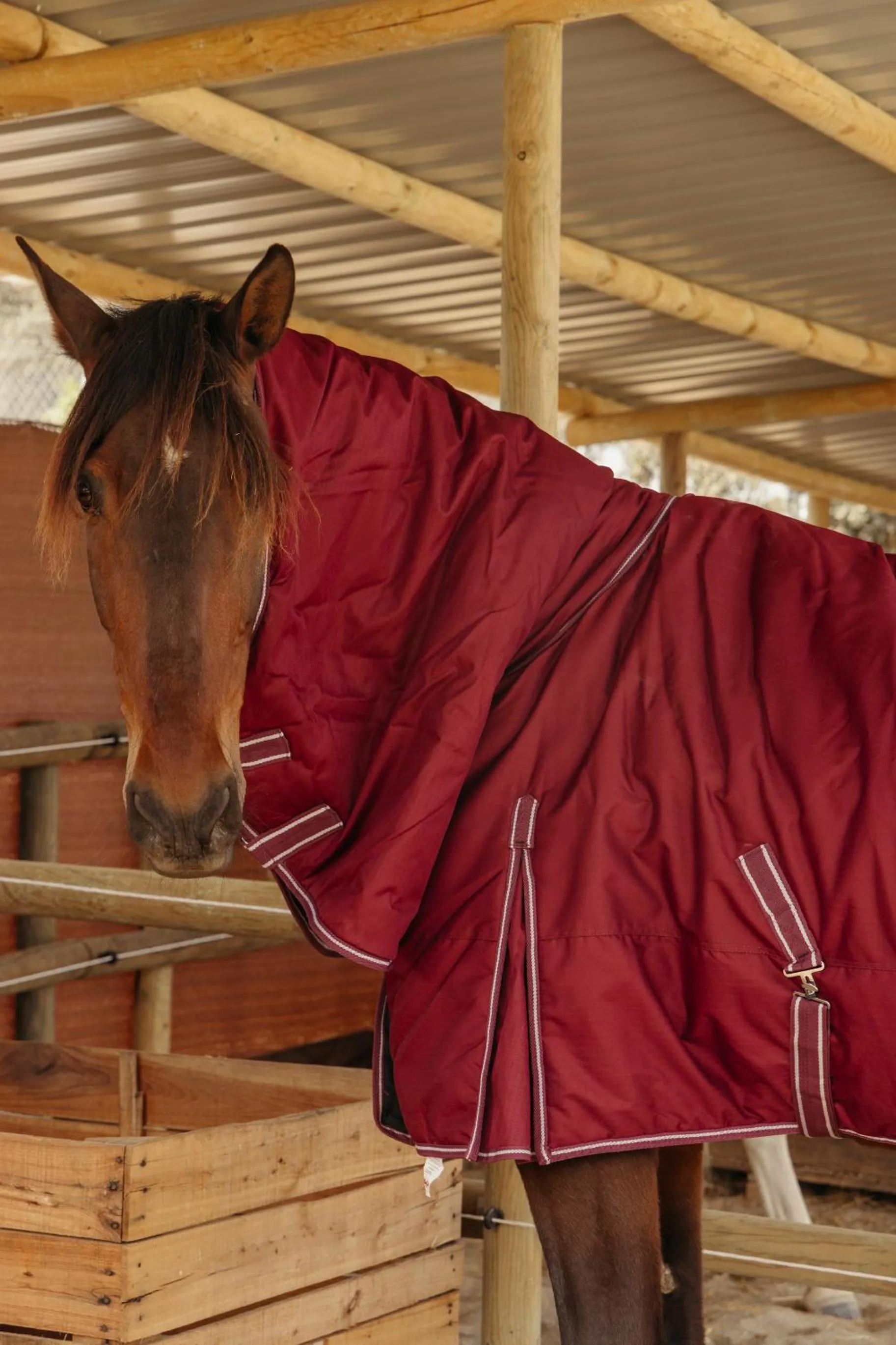 Horse-riding in Finca La Bobadilla - The Leading Hotels of the World