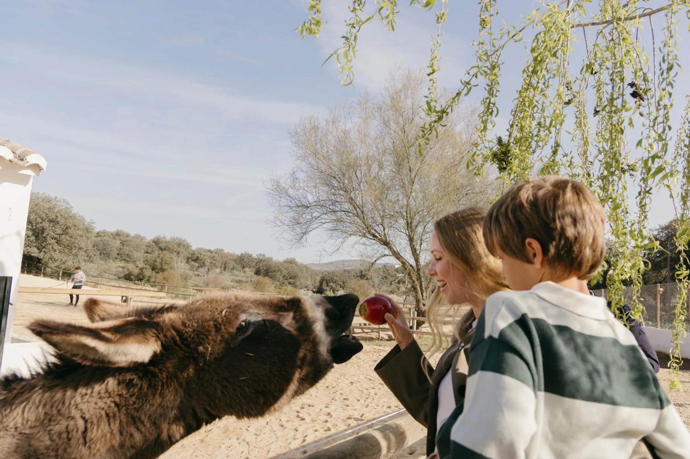 Day in Finca La Bobadilla - The Leading Hotels of the World