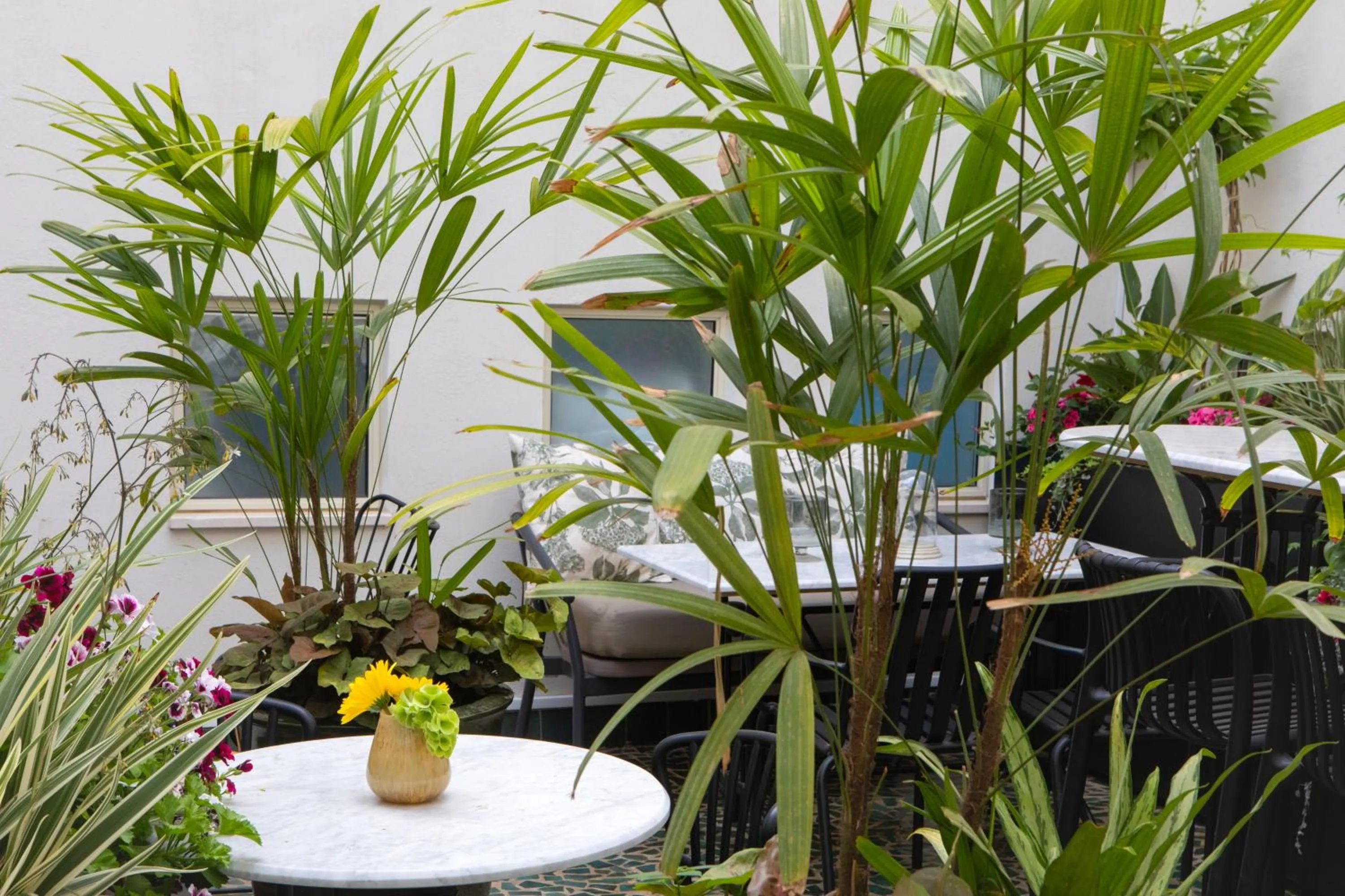 Garden in Rephael House Boutique Hotel