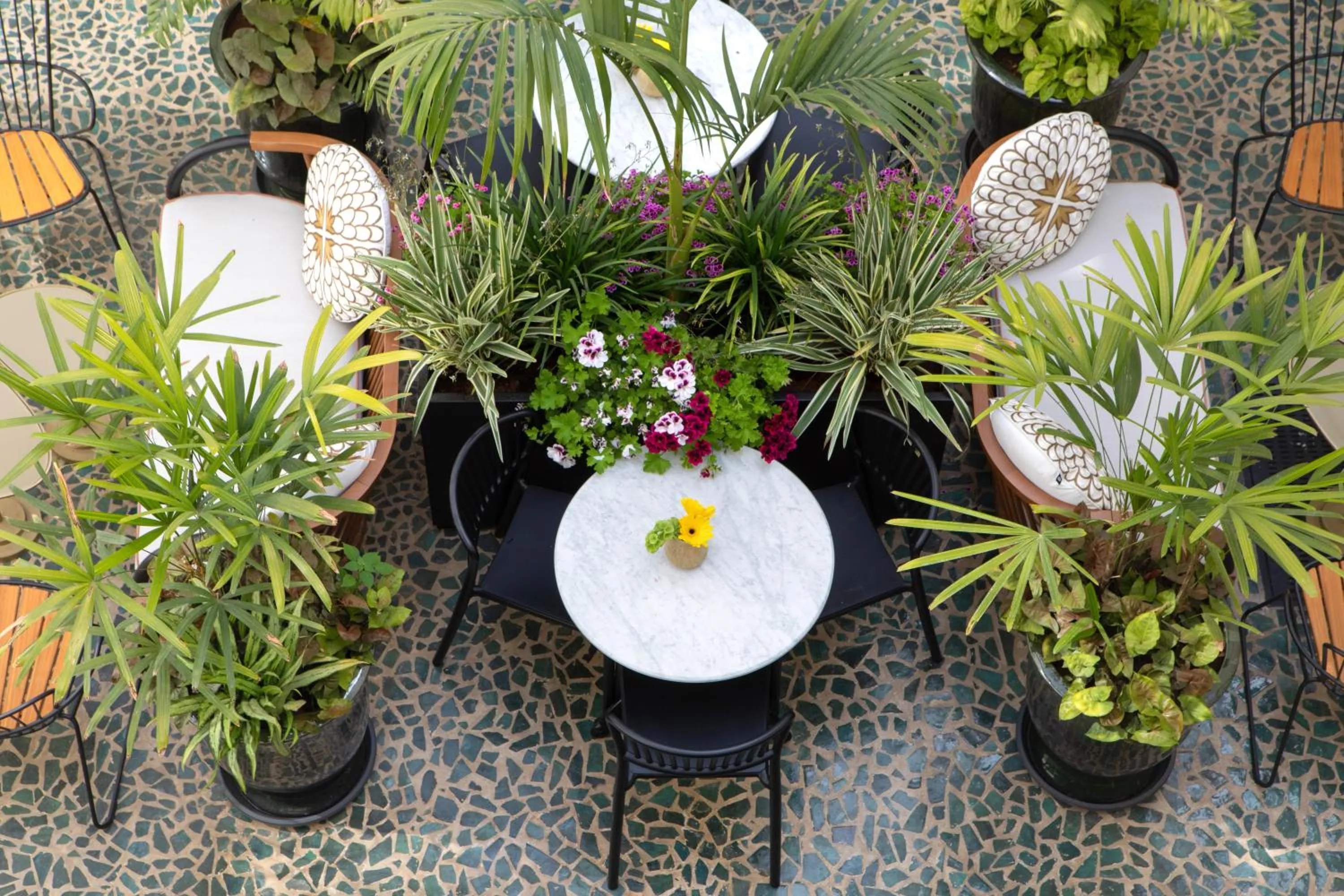 Garden view in Rephael House Boutique Hotel