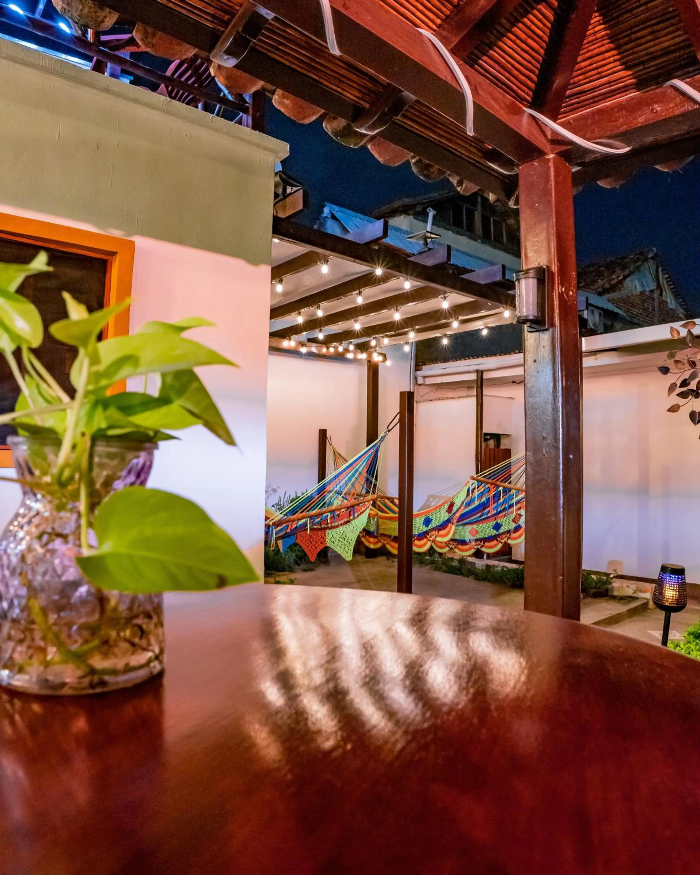 Garden view in Hotel Boutique Mosaico