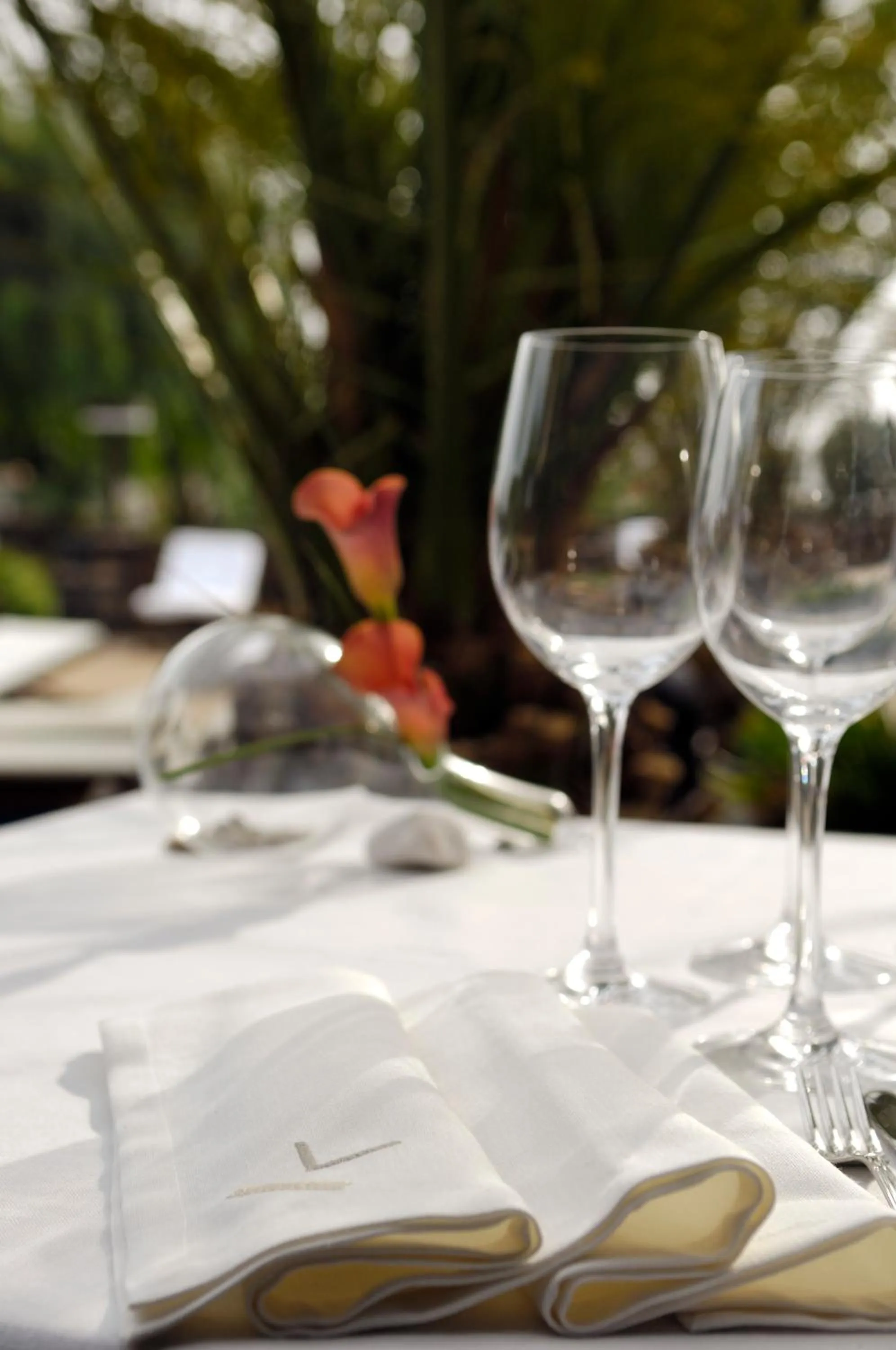 Restaurant/places to eat in Villa VIK - Hotel Boutique