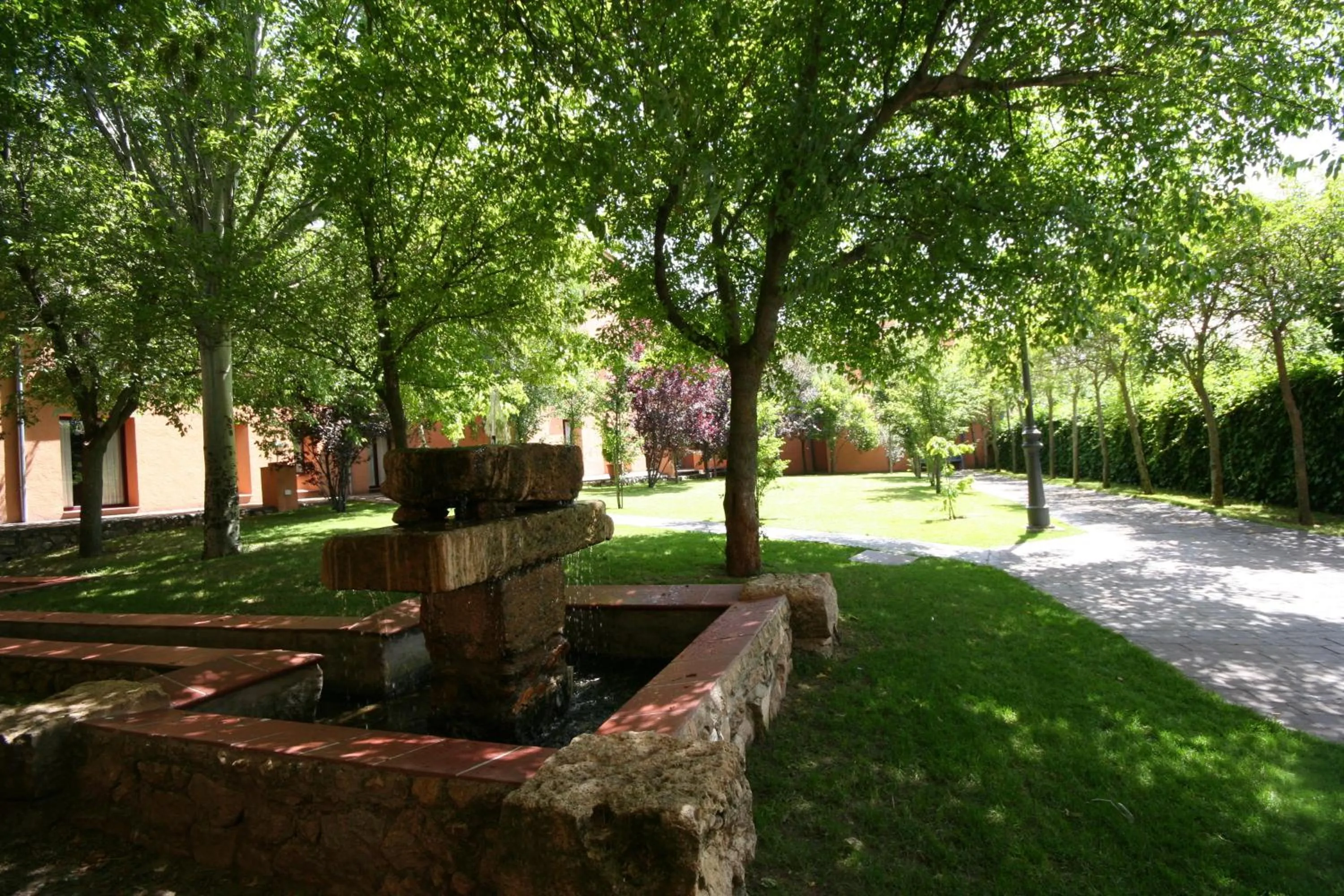 Garden in Hotel El Rancho