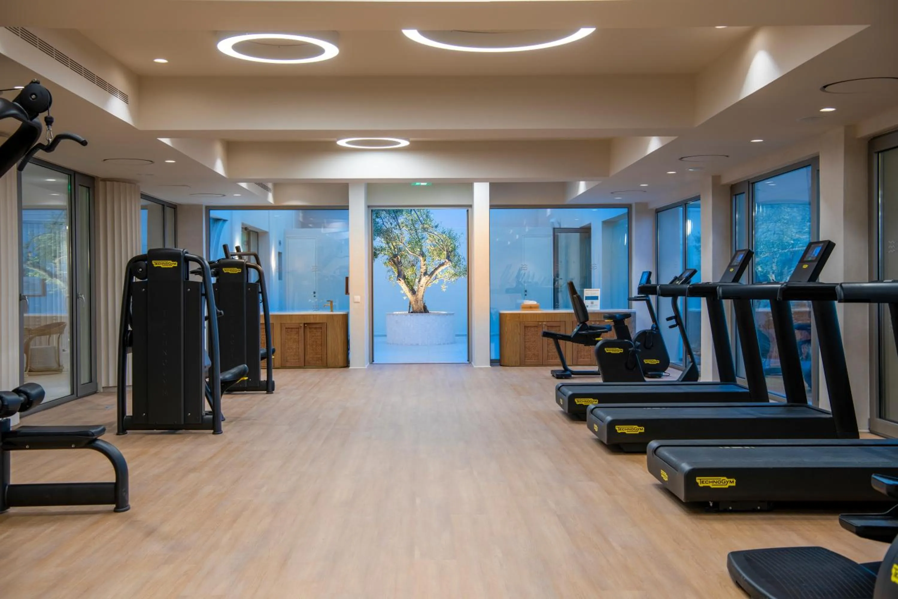 Spa and wellness centre/facilities in Aquila Rithymna Beach