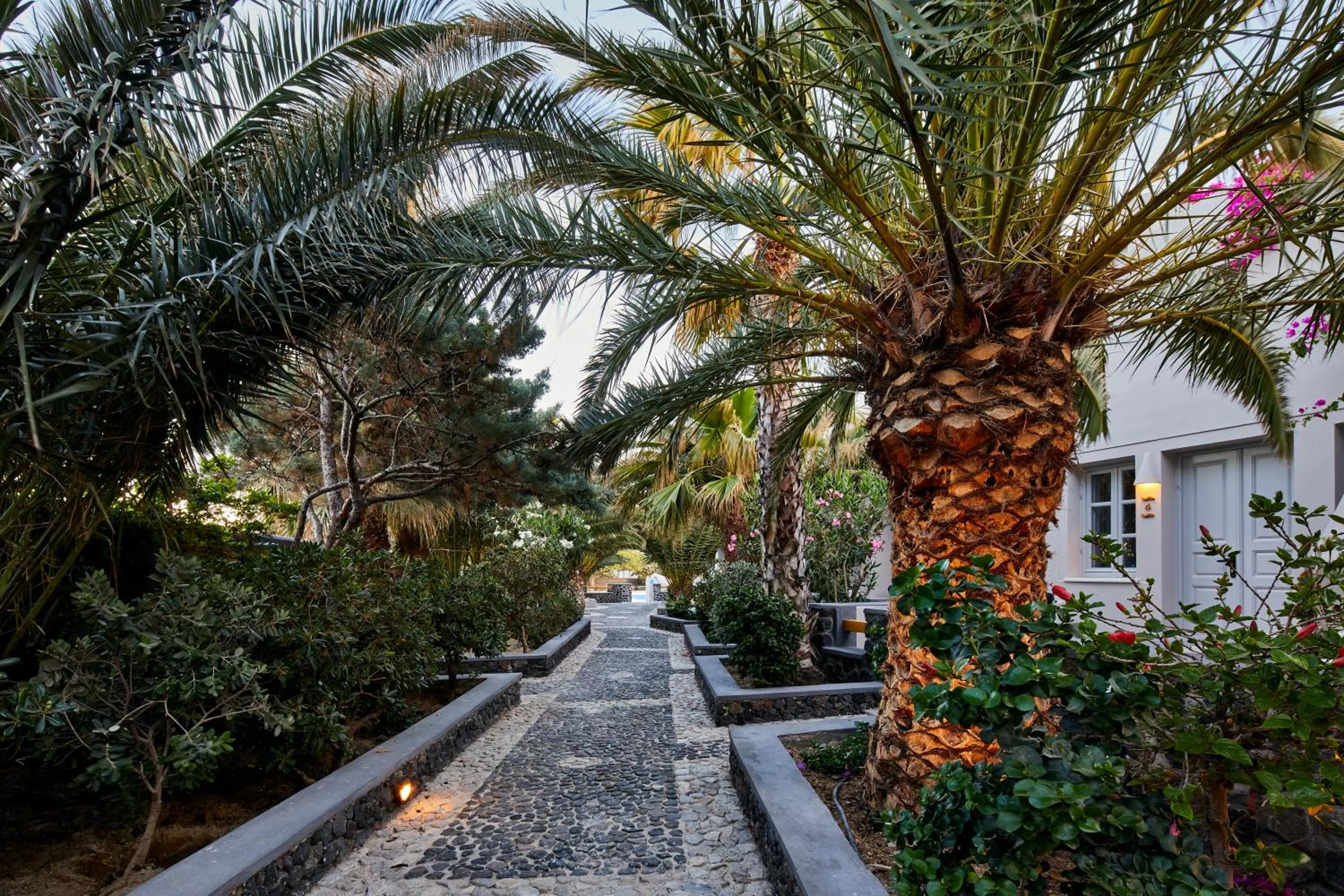 Garden in Marillia Village