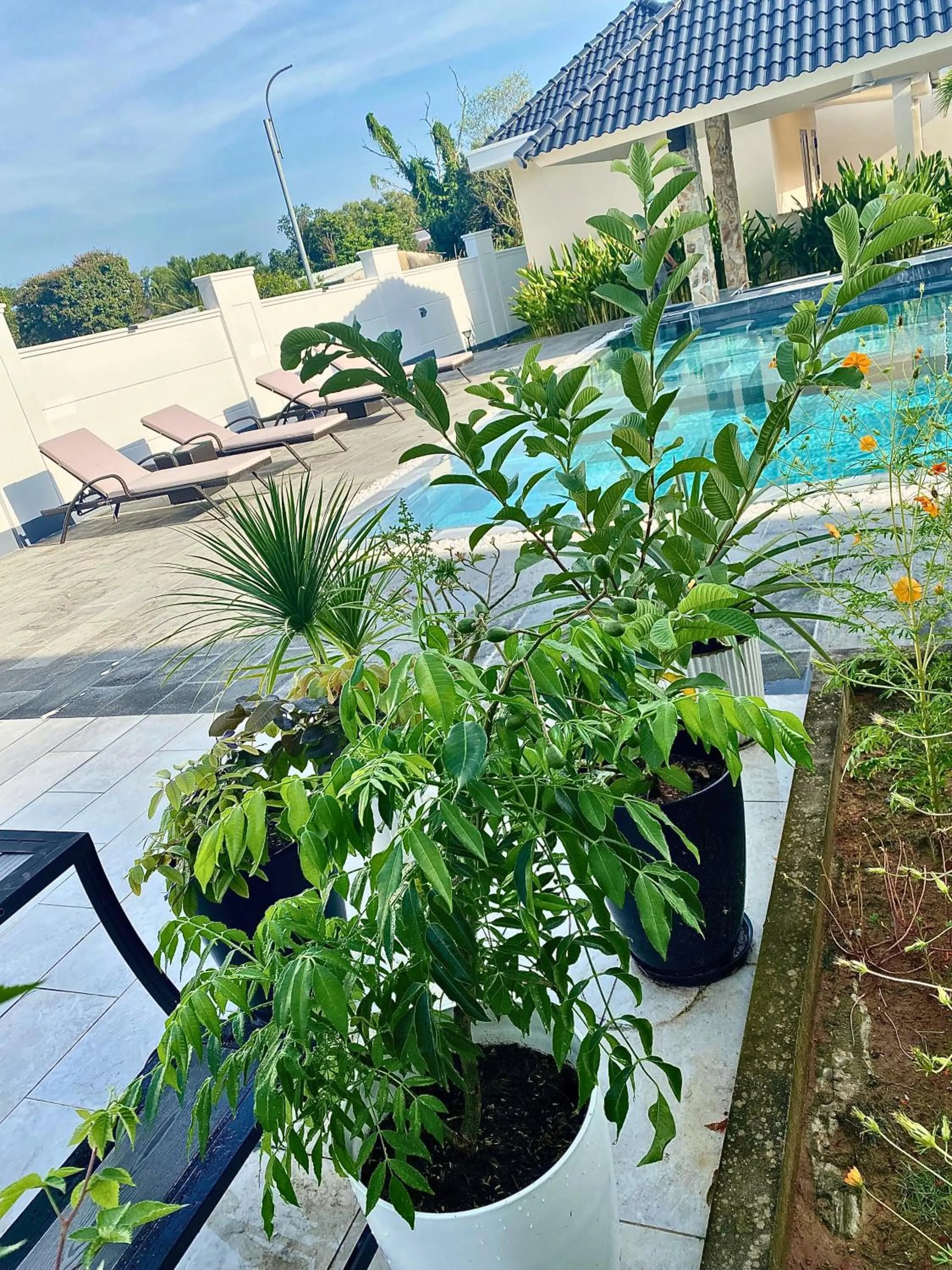 Swimming pool in LAM BUNGALOW Resort & Spa