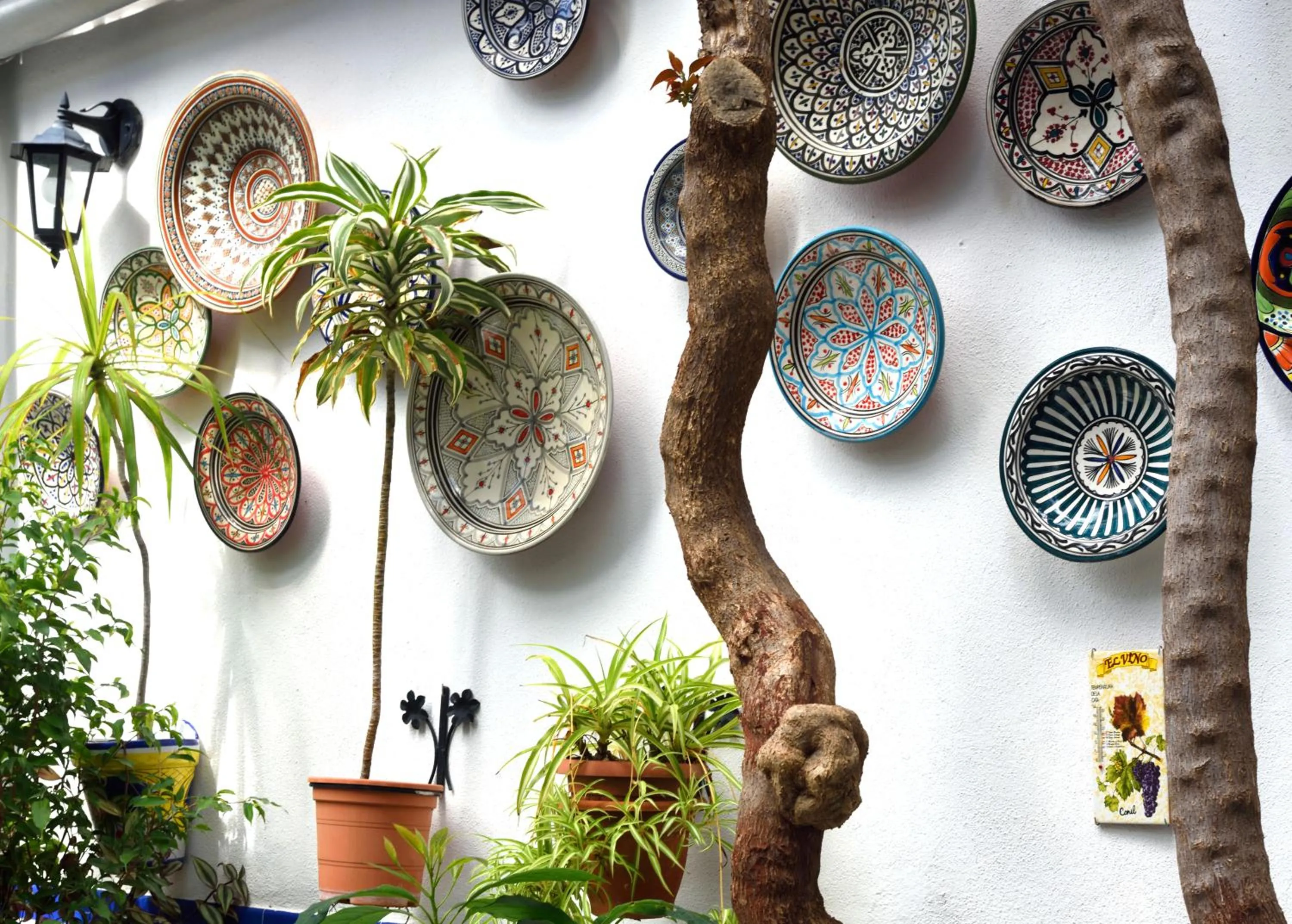 Property building in Pensión Aduar