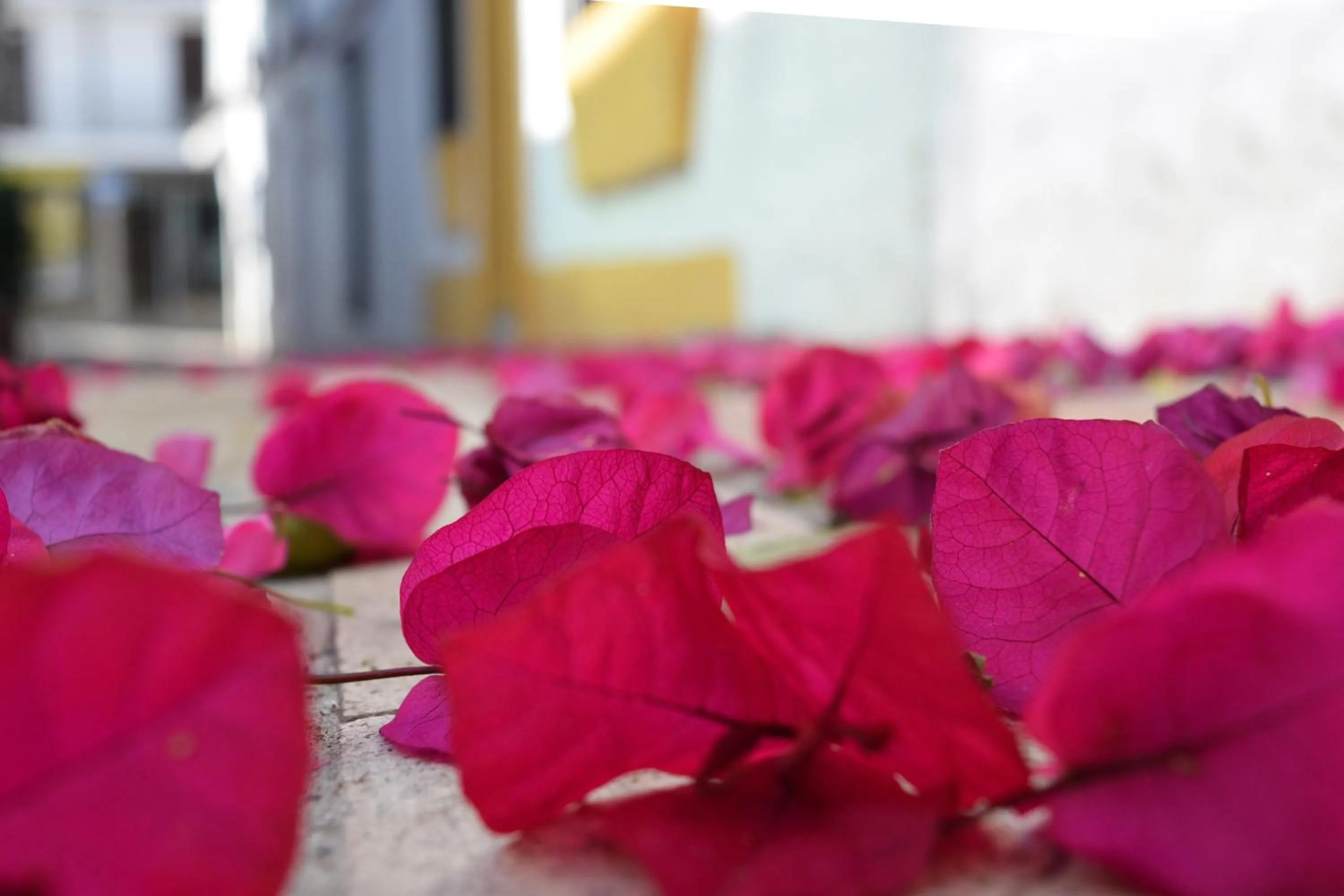 Summer in Pensión Aduar