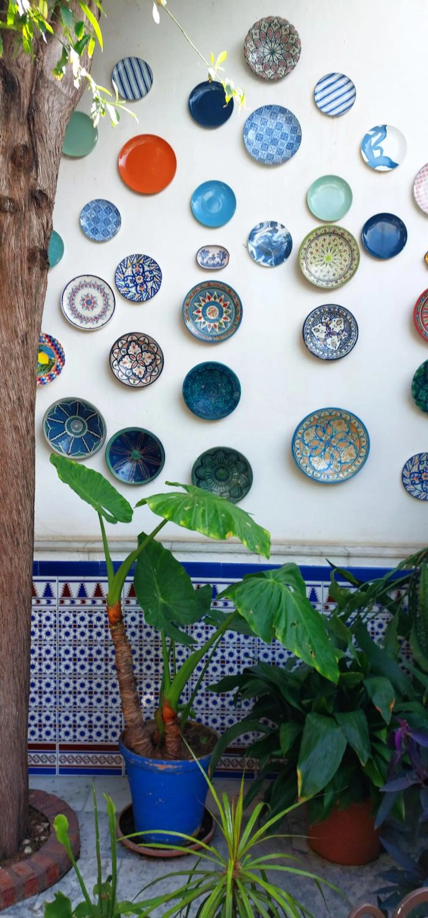 Property building in Pensión Aduar