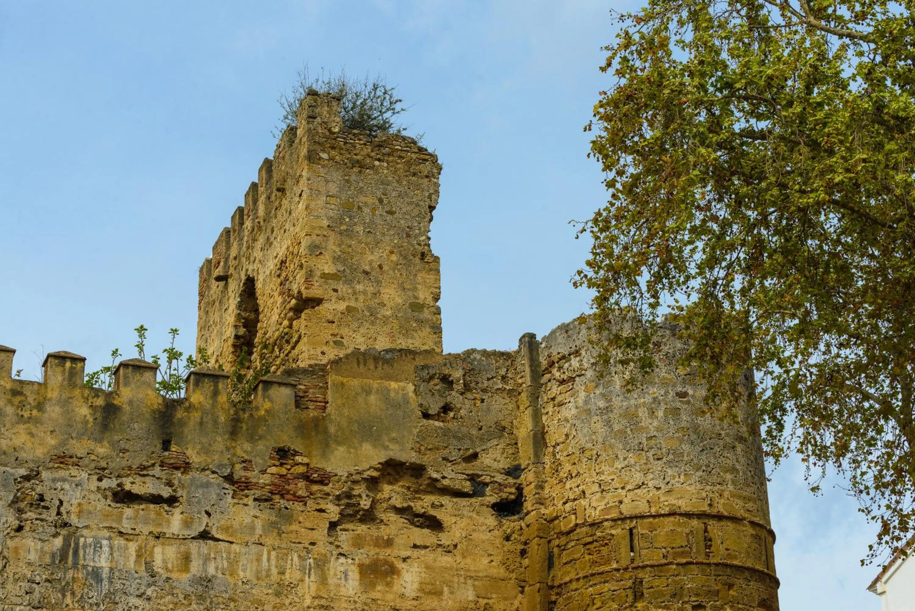 Area and facilities in Pensión Aduar