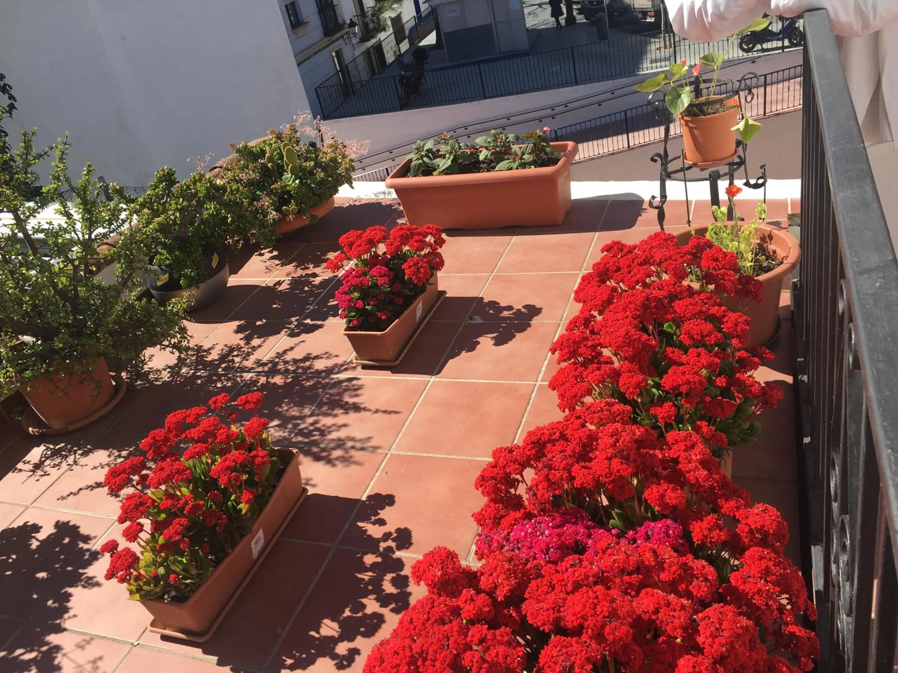 Balcony/Terrace in Pensión Aduar