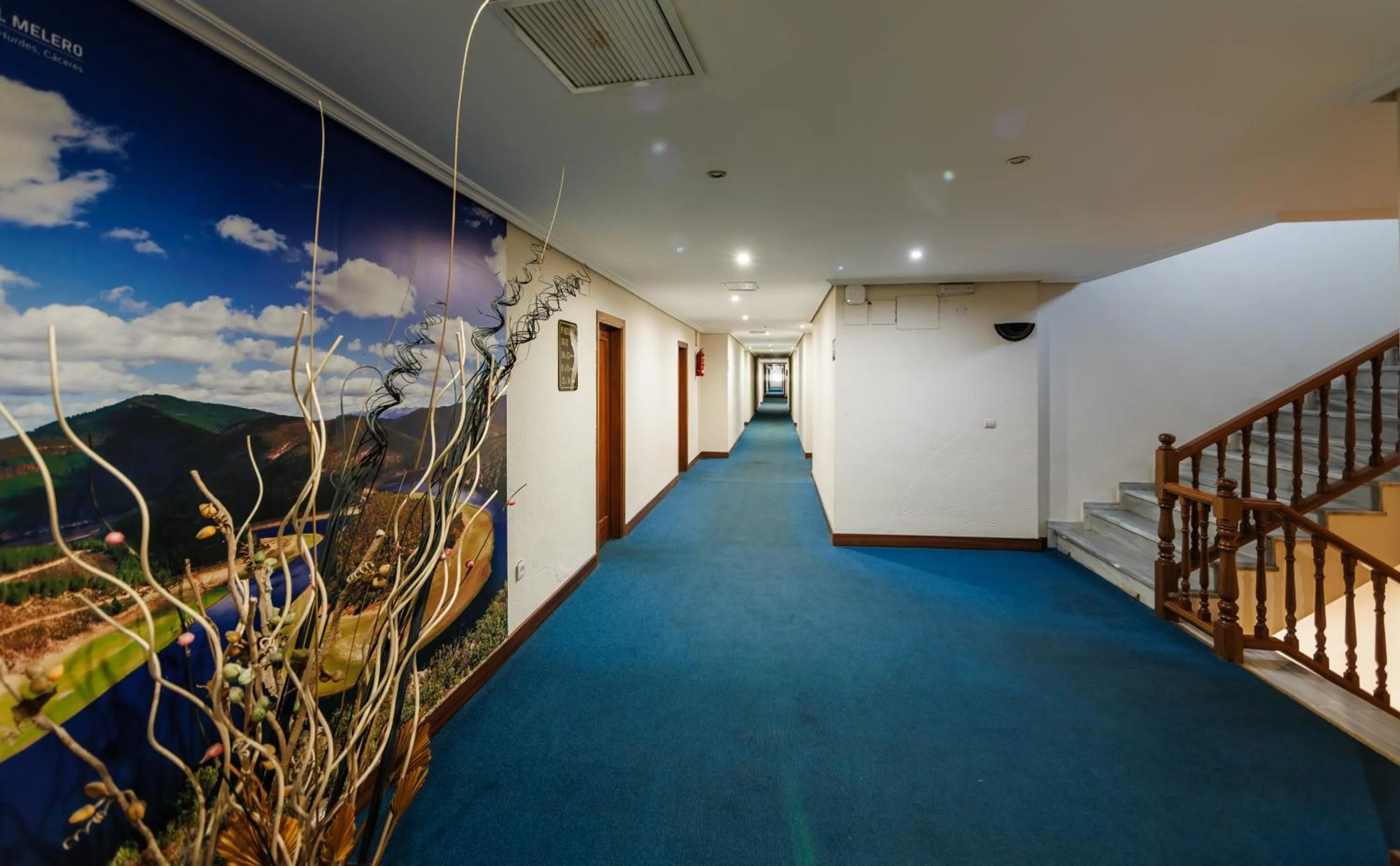 Decorative detail in Hotel Acosta Vetonia