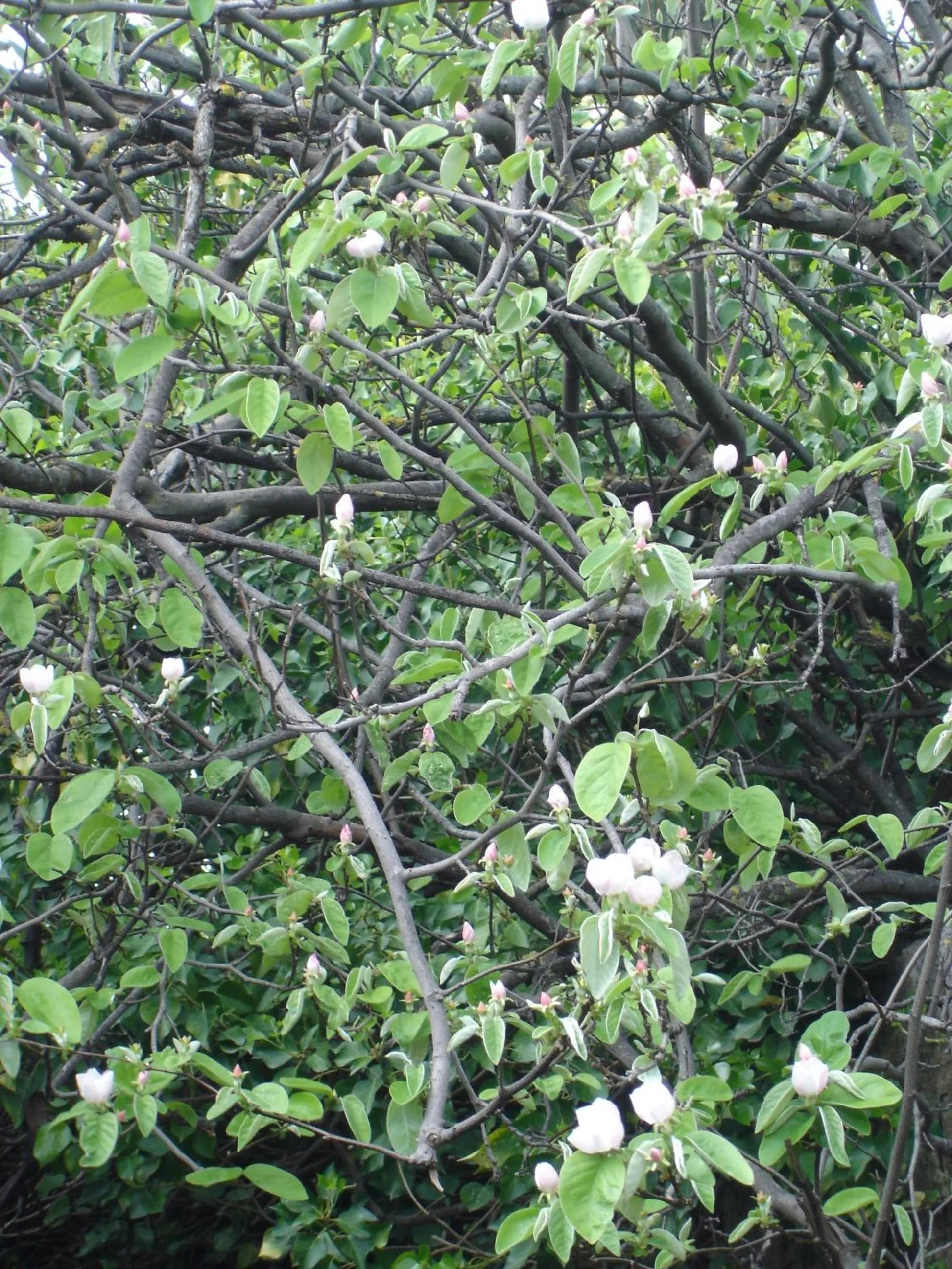 Other in Panorama Hotel