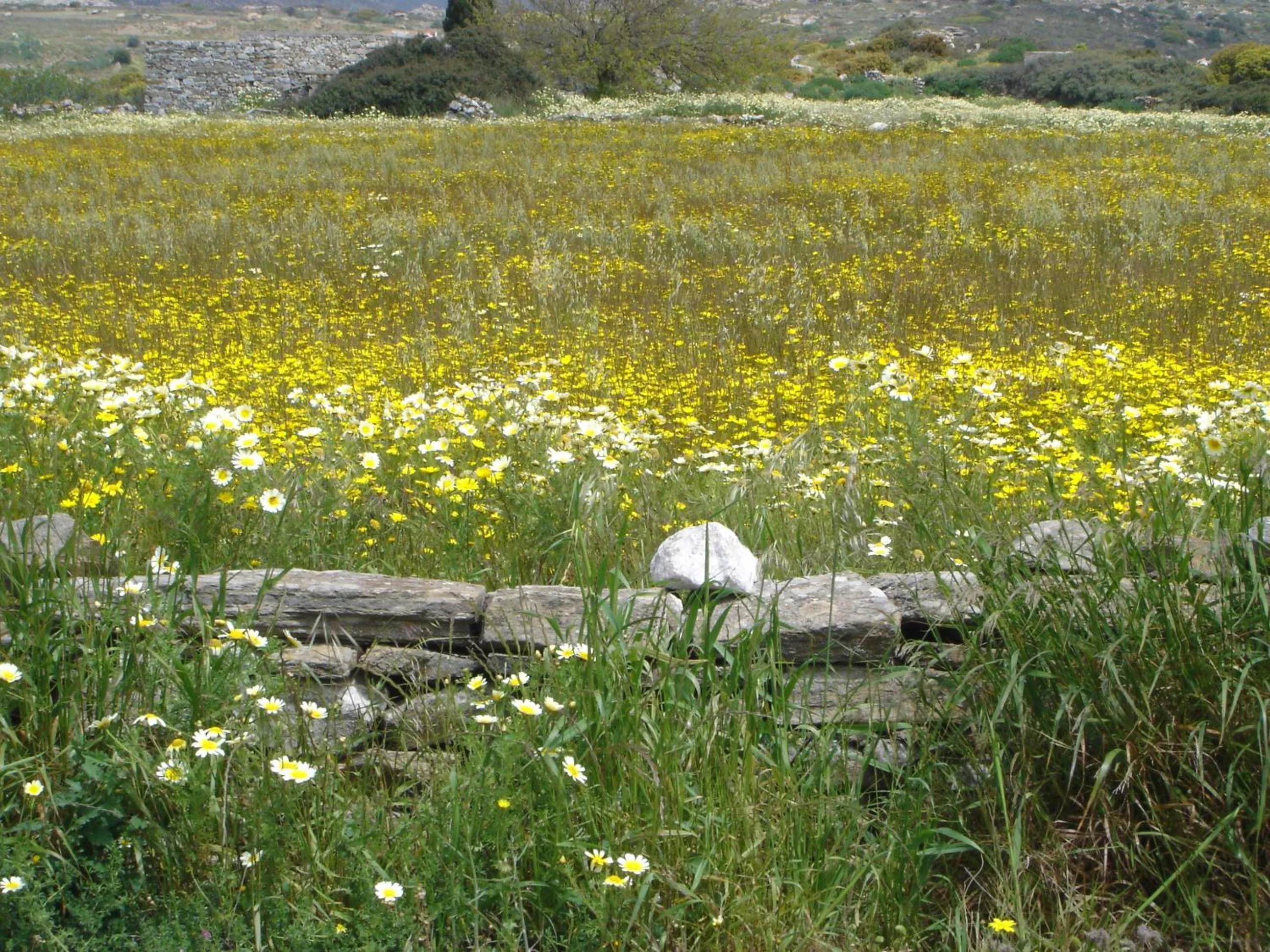 Other in Panorama Hotel