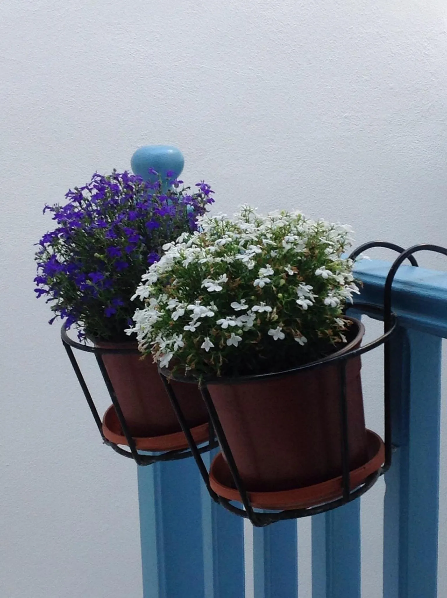 Decorative detail in Panorama Hotel