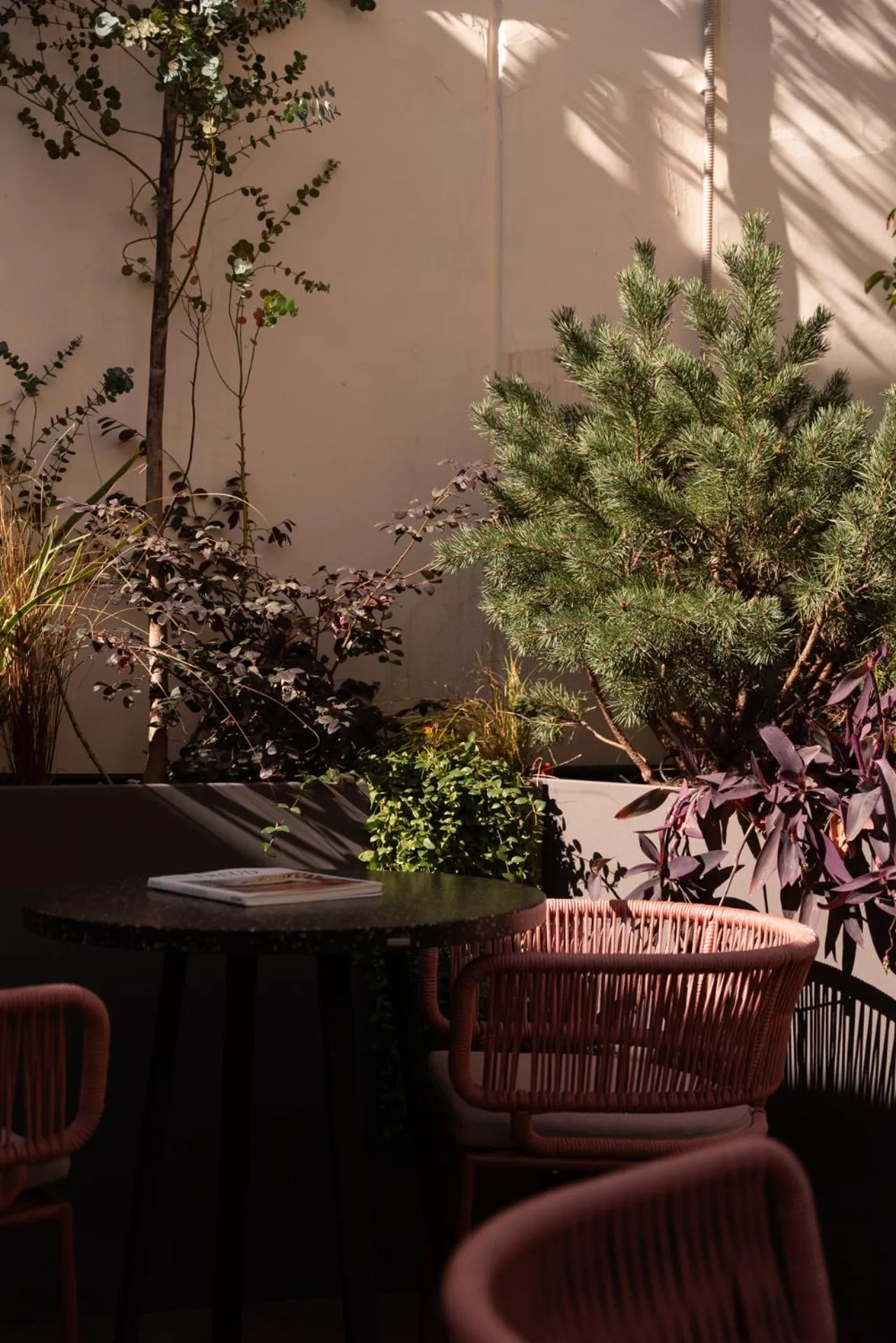 Balcony/Terrace in Agra Suites