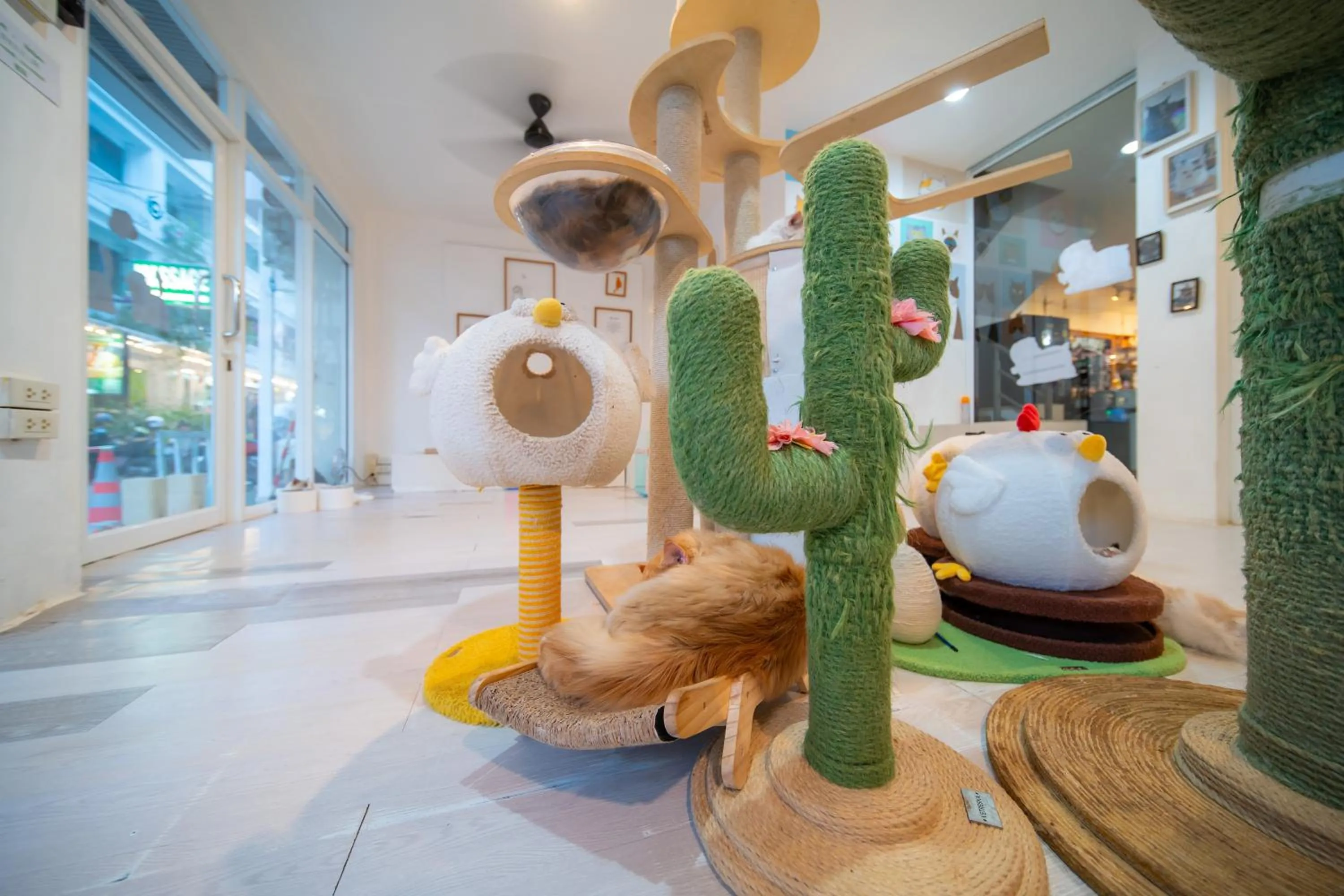 Patong Beach Side Hotel