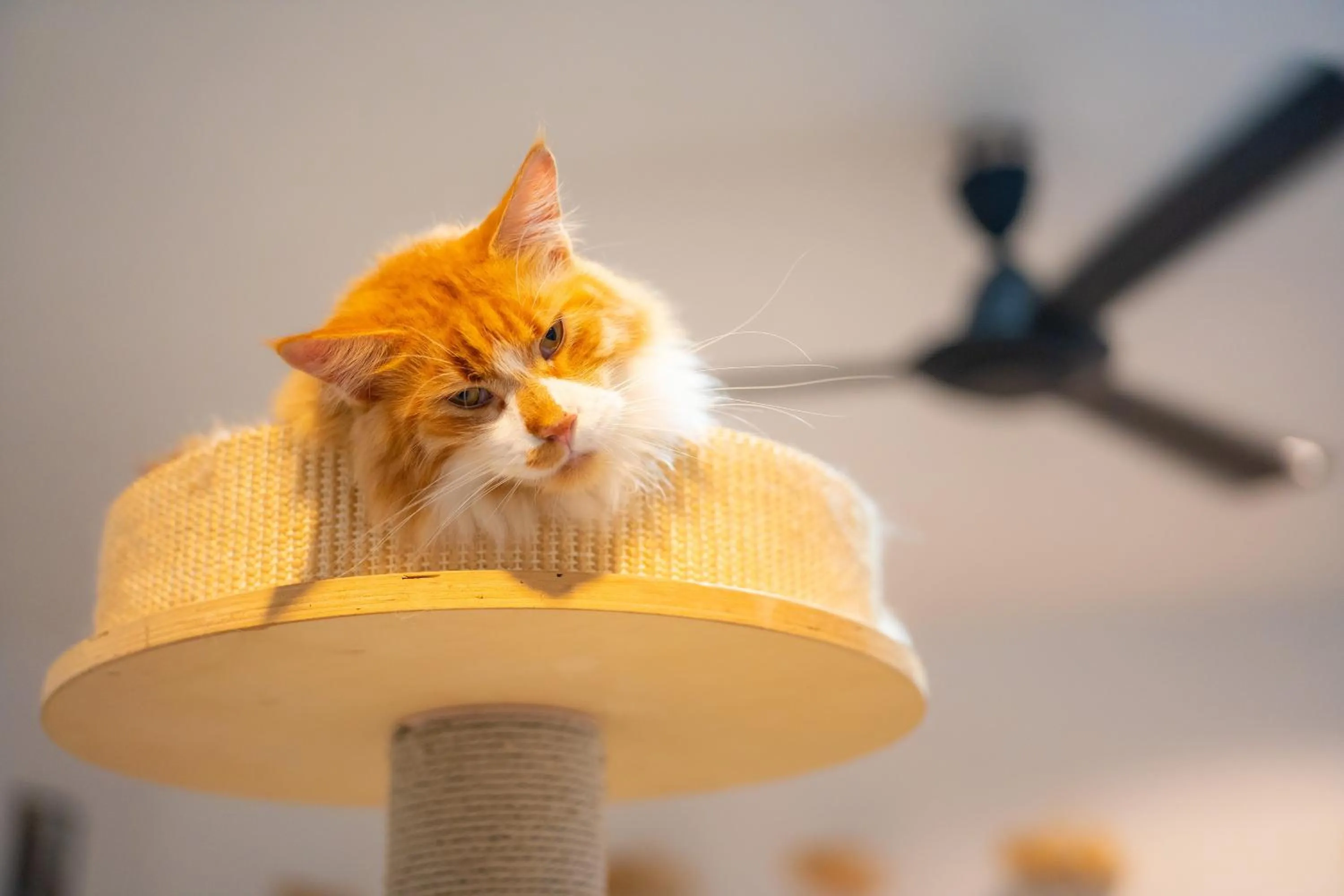 Patong Beach Side Hotel